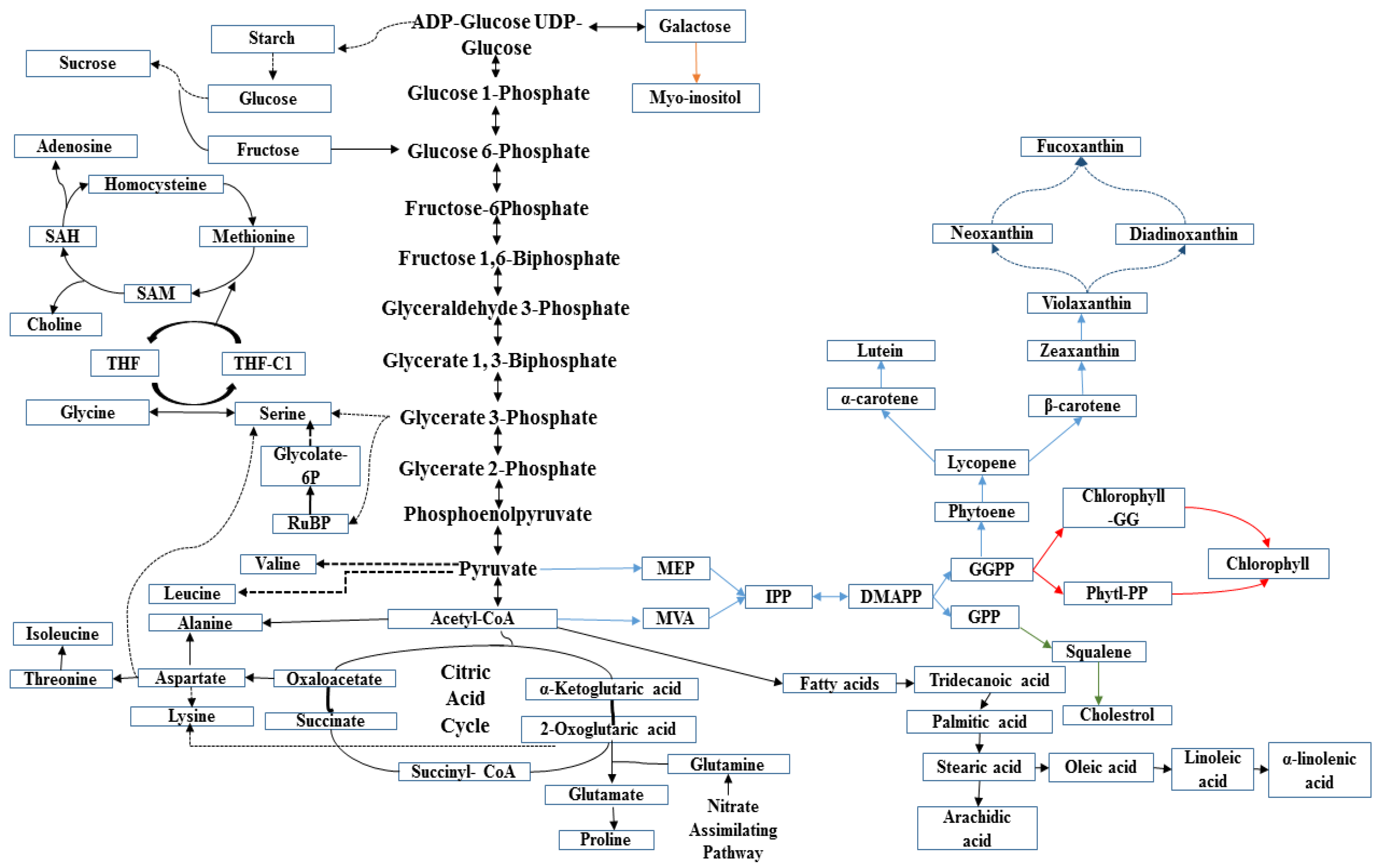 Marinedrugs 16 00154 g006