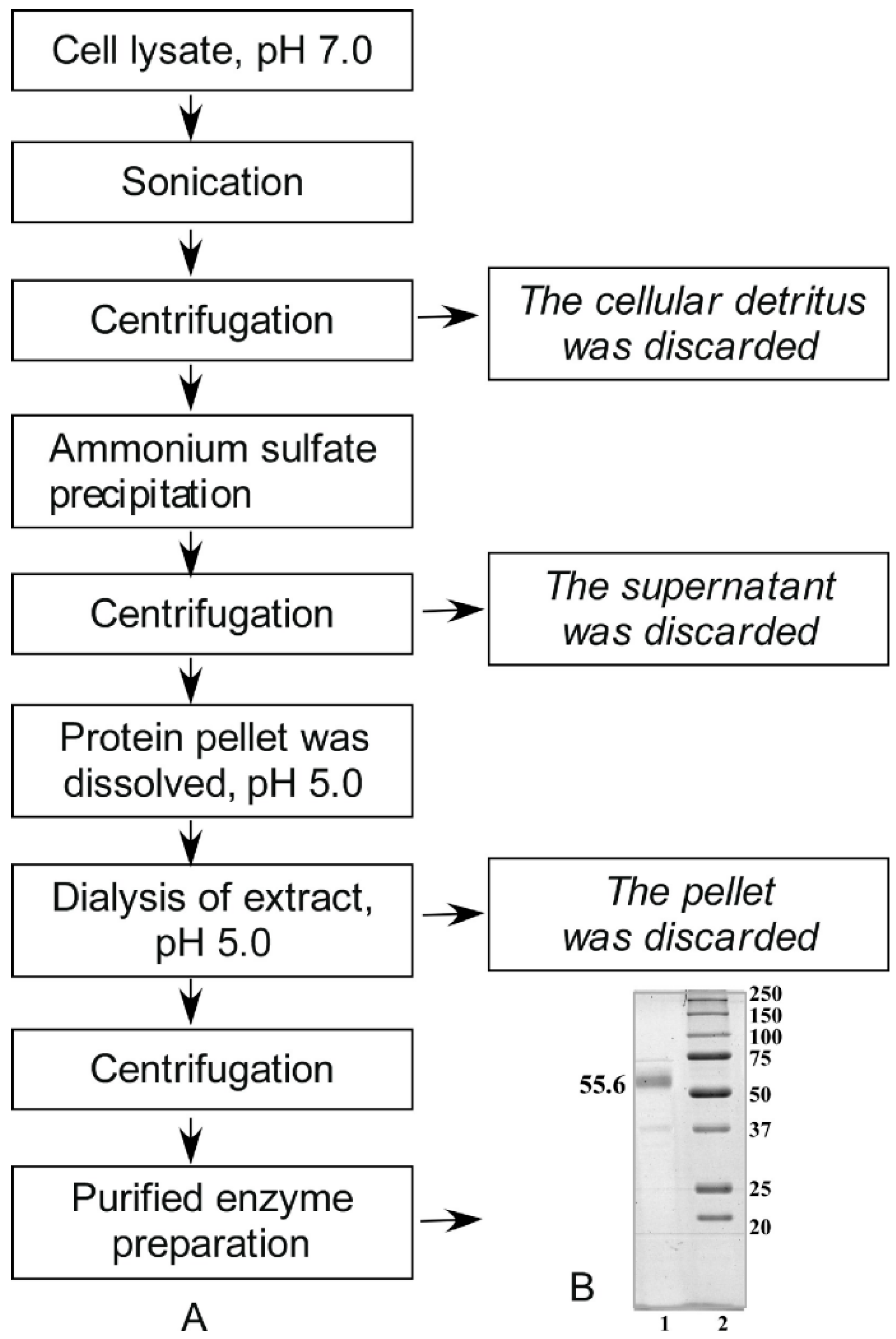 Marinedrugs 16 00155 g001