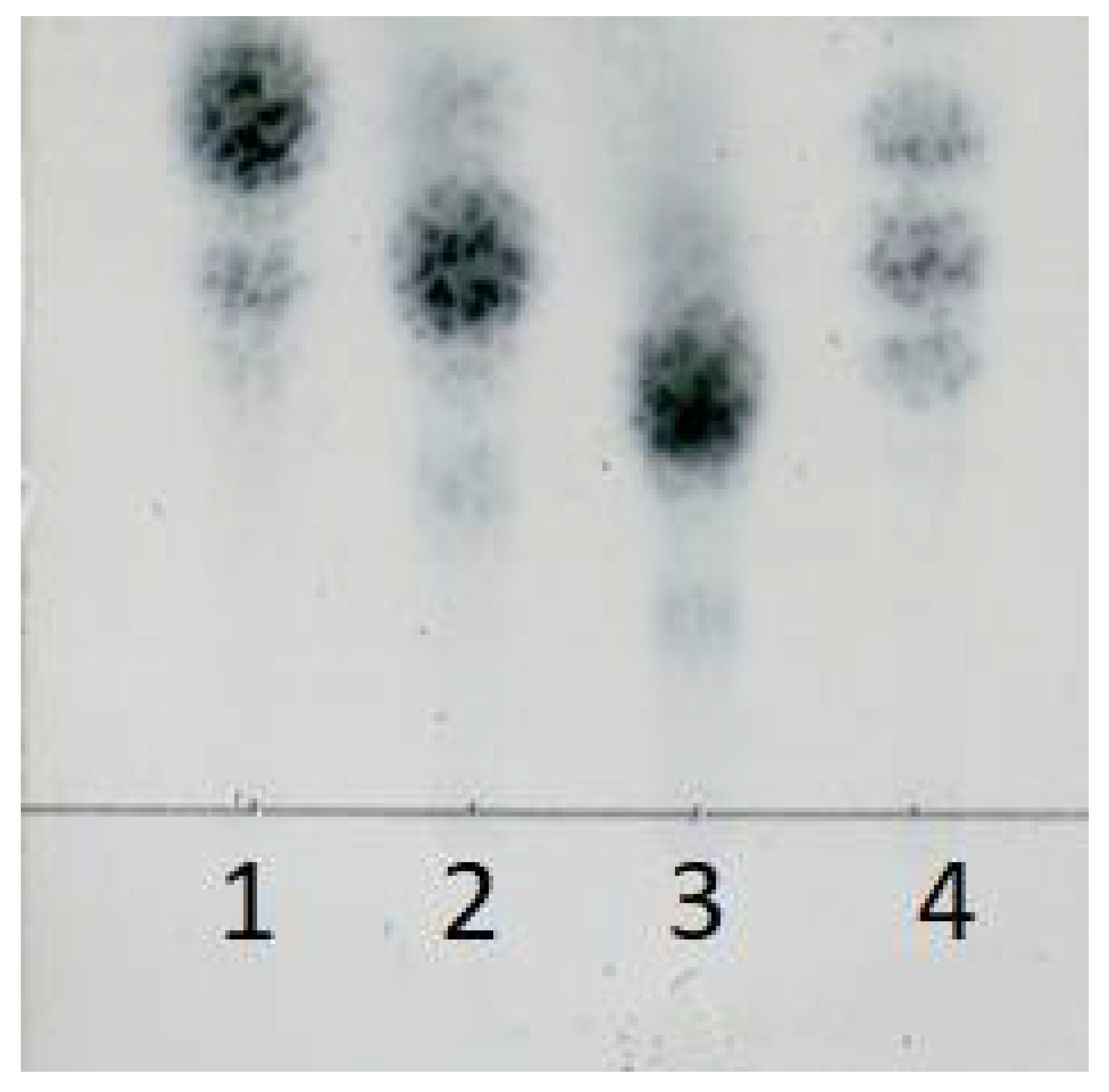 Marinedrugs 16 00158 g011