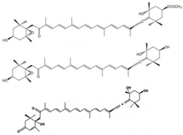 Marinedrugs 16 00160 i023