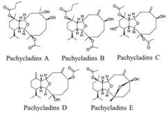 Marinedrugs 16 00160 i024