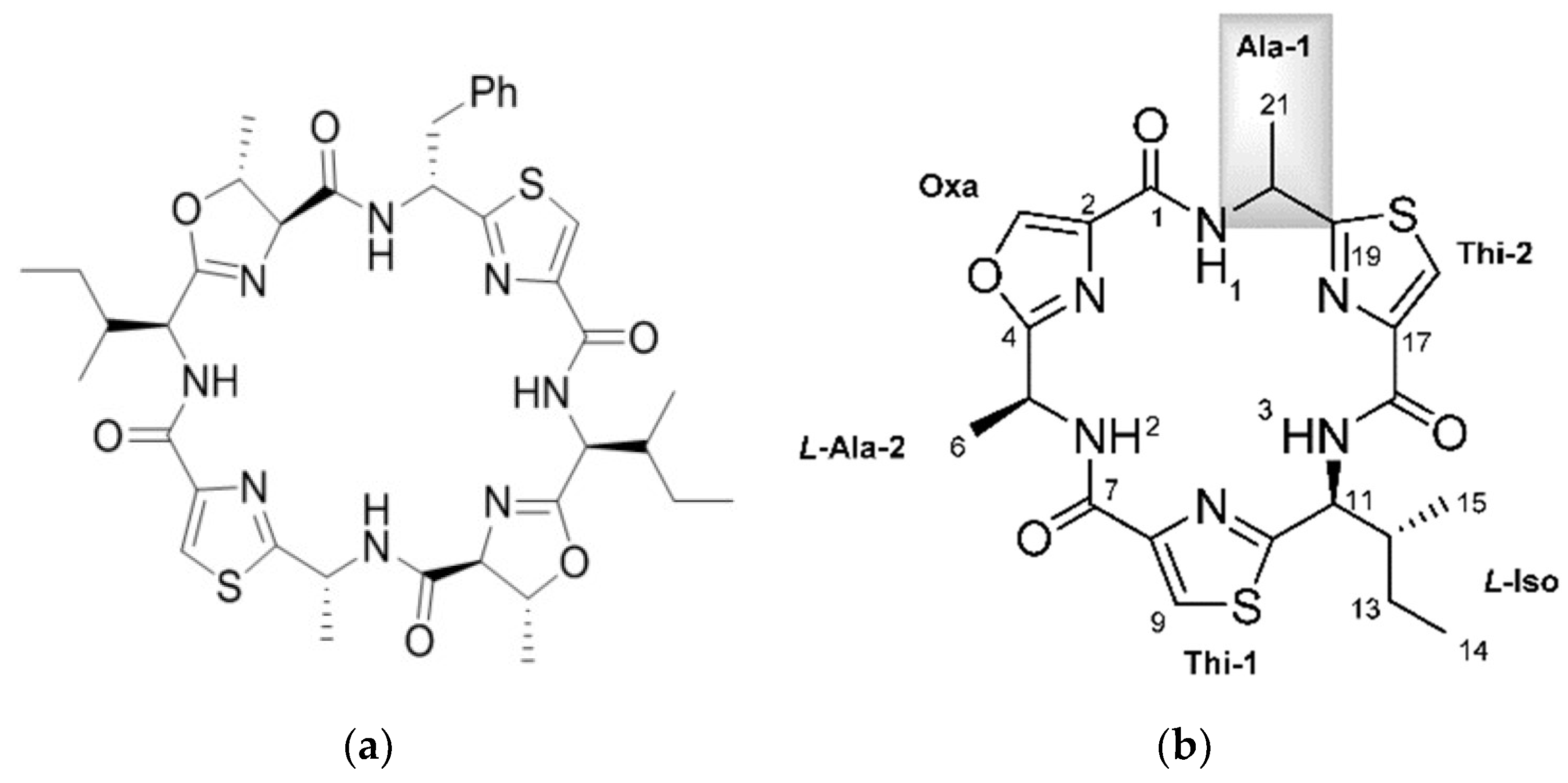 Marinedrugs 16 00162 g001a