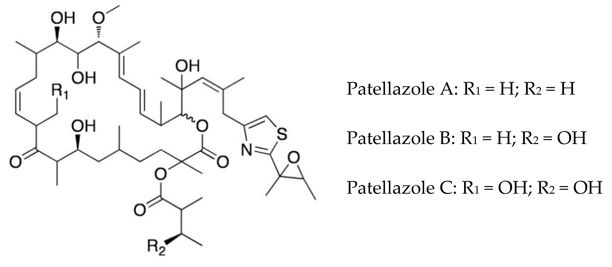 Marinedrugs 16 00162 g003