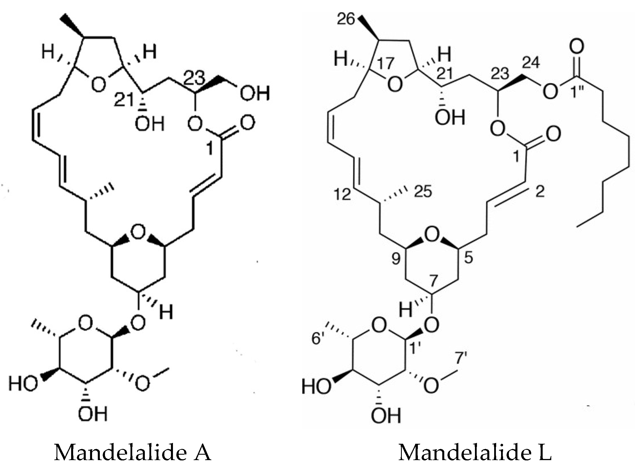 Marinedrugs 16 00162 g004