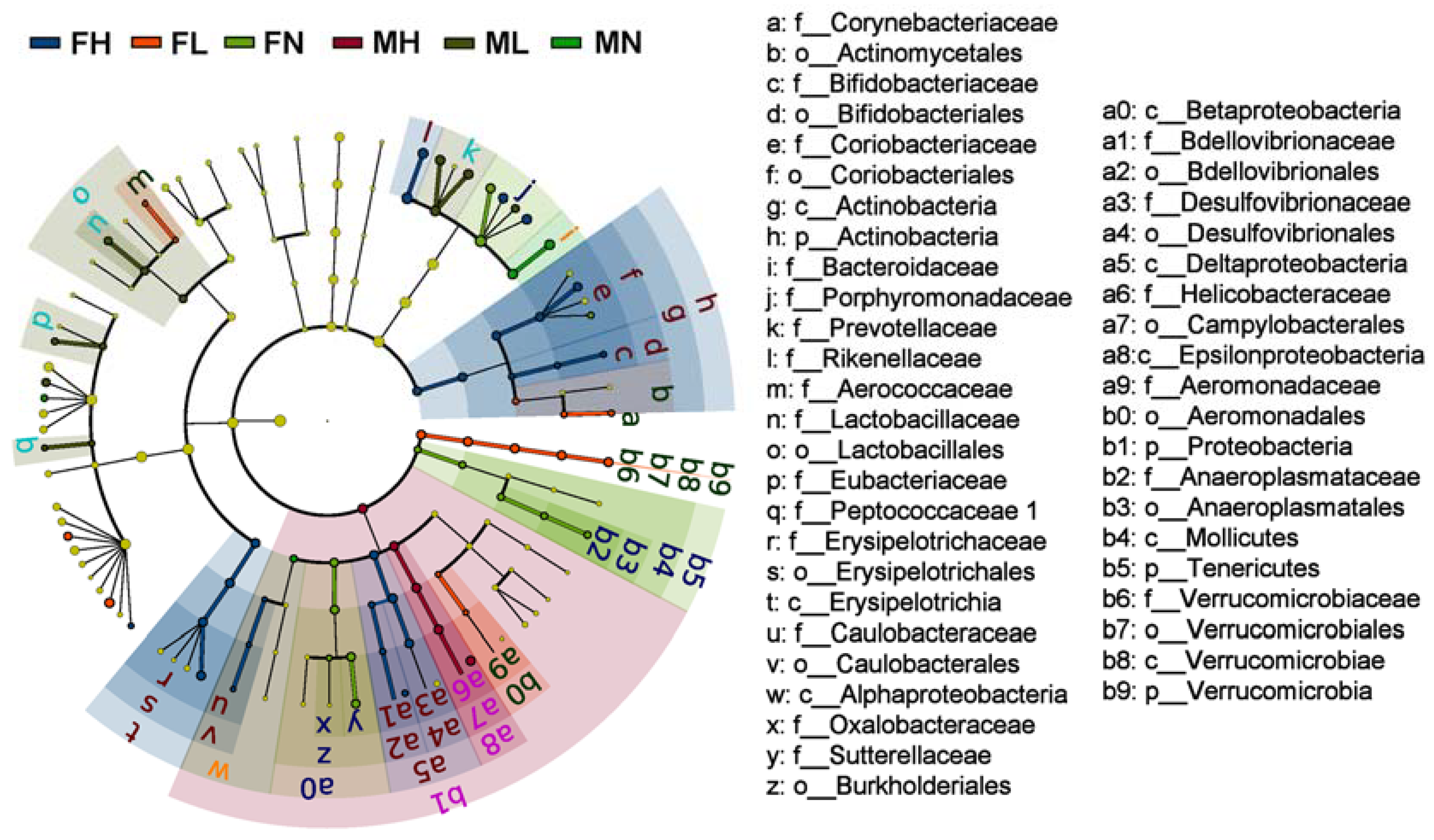 Marinedrugs 16 00167 g004