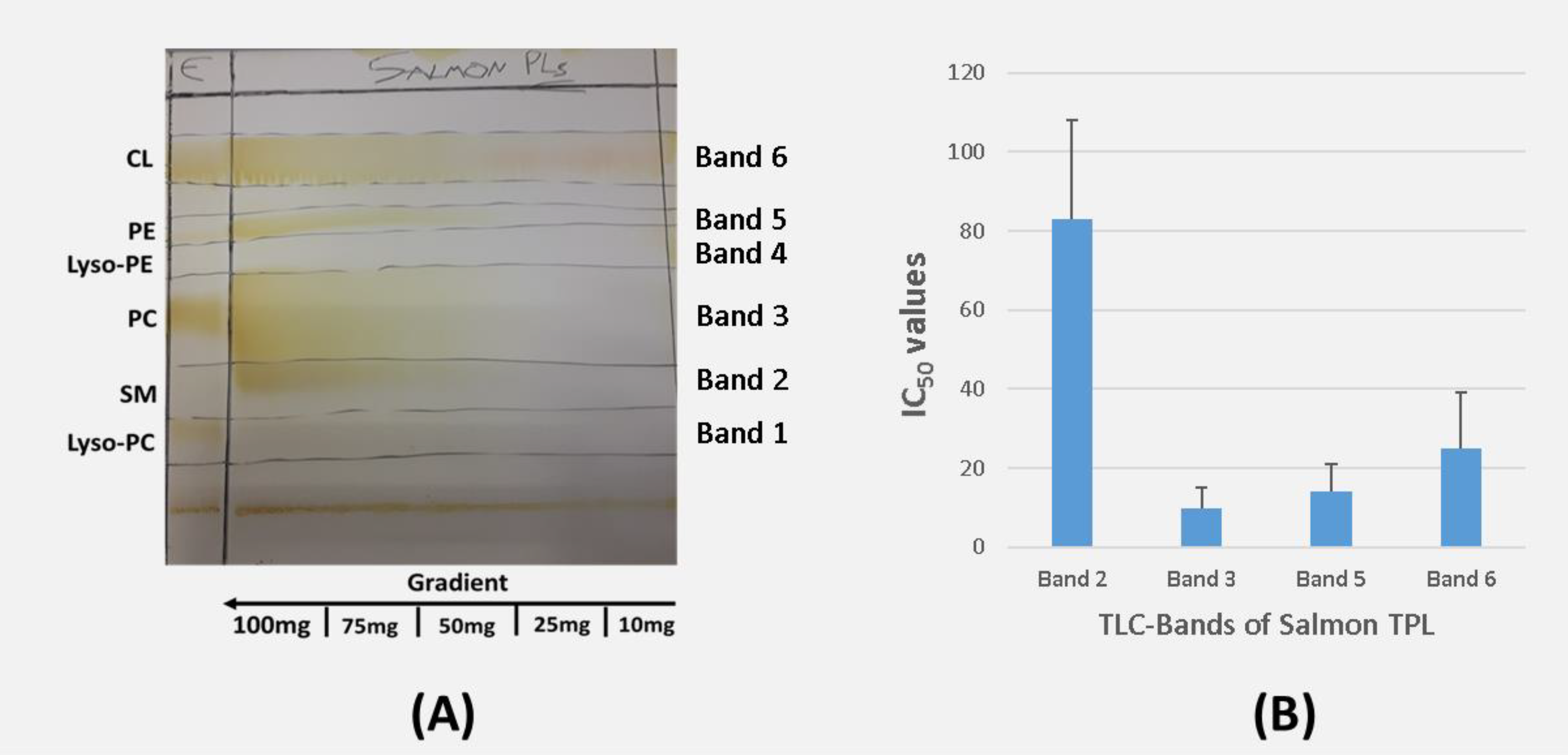 Marinedrugs 16 00176 g001