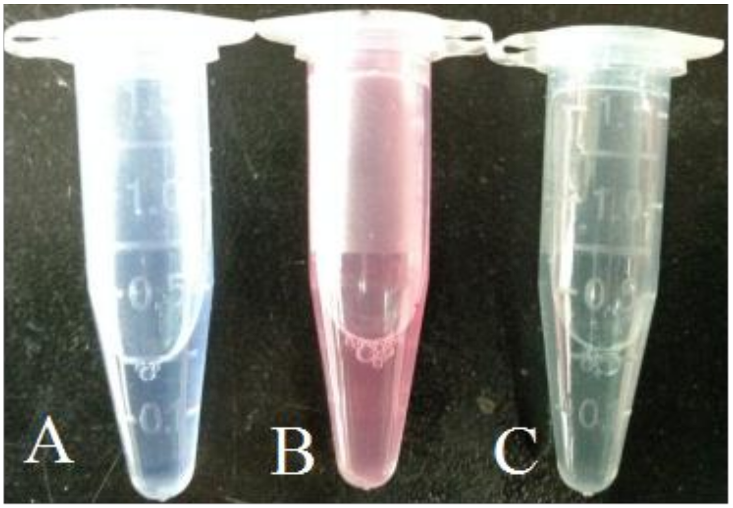 Marinedrugs 16 00199 g001