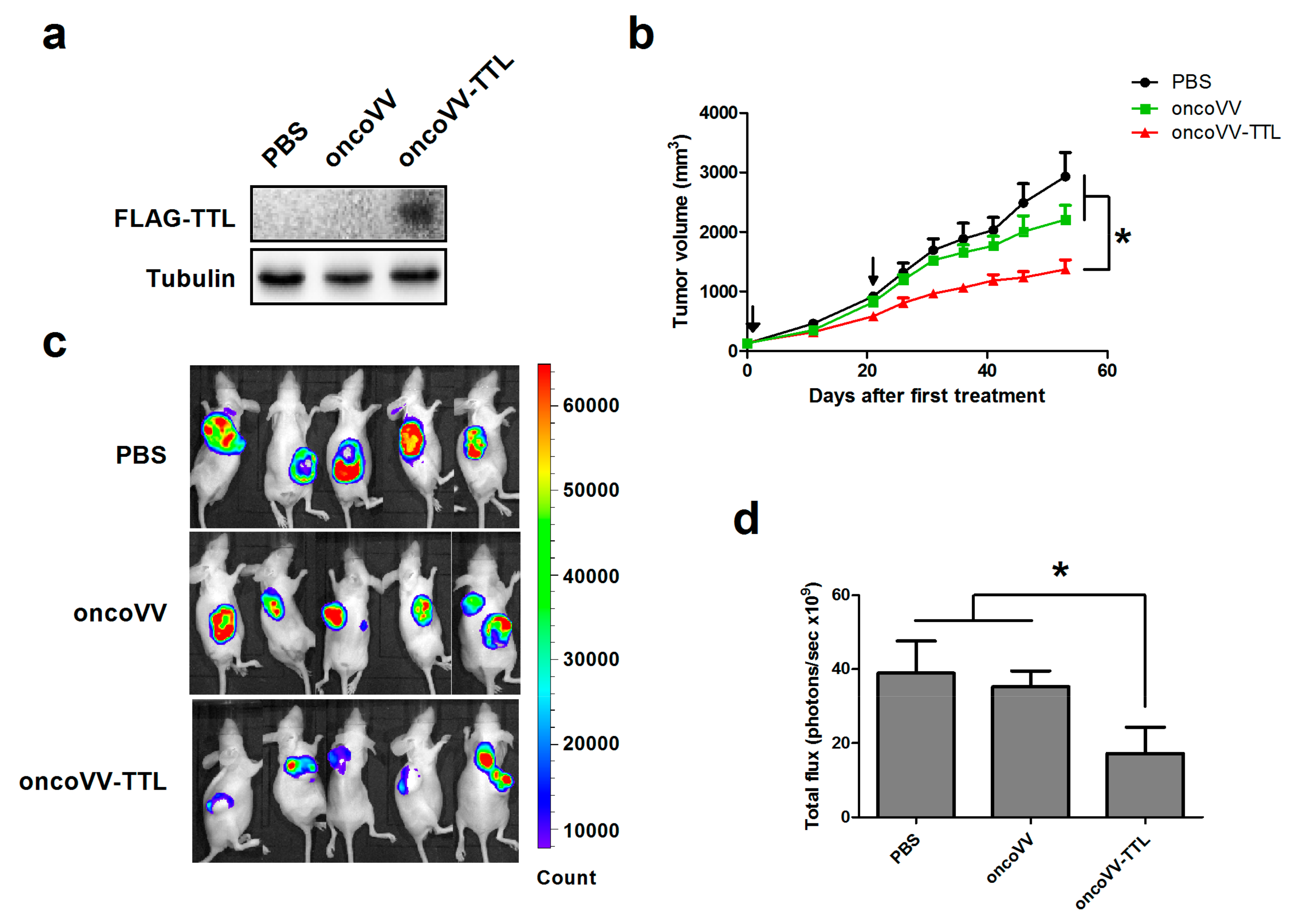 Marinedrugs 16 00200 g001