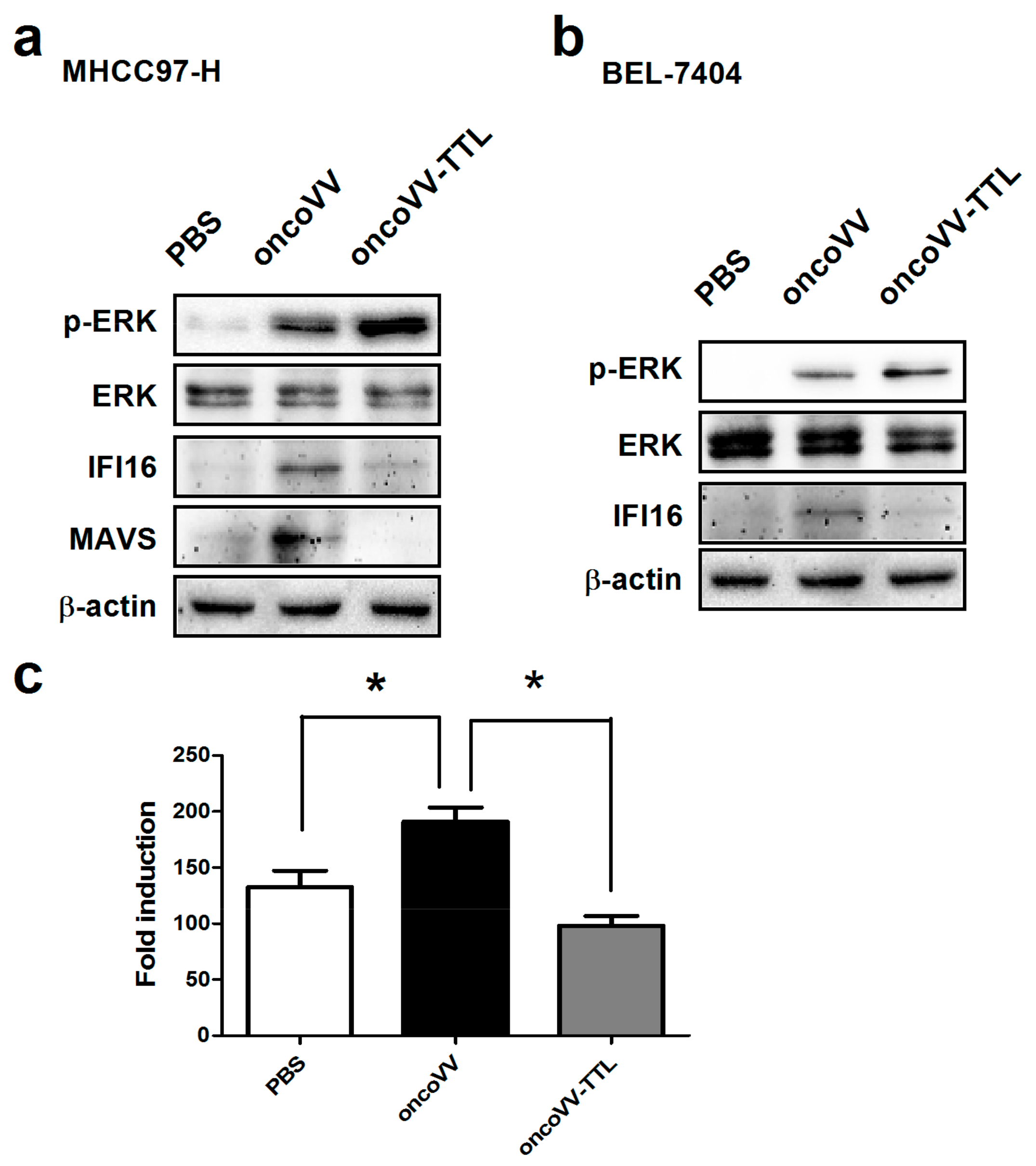 Marinedrugs 16 00200 g003