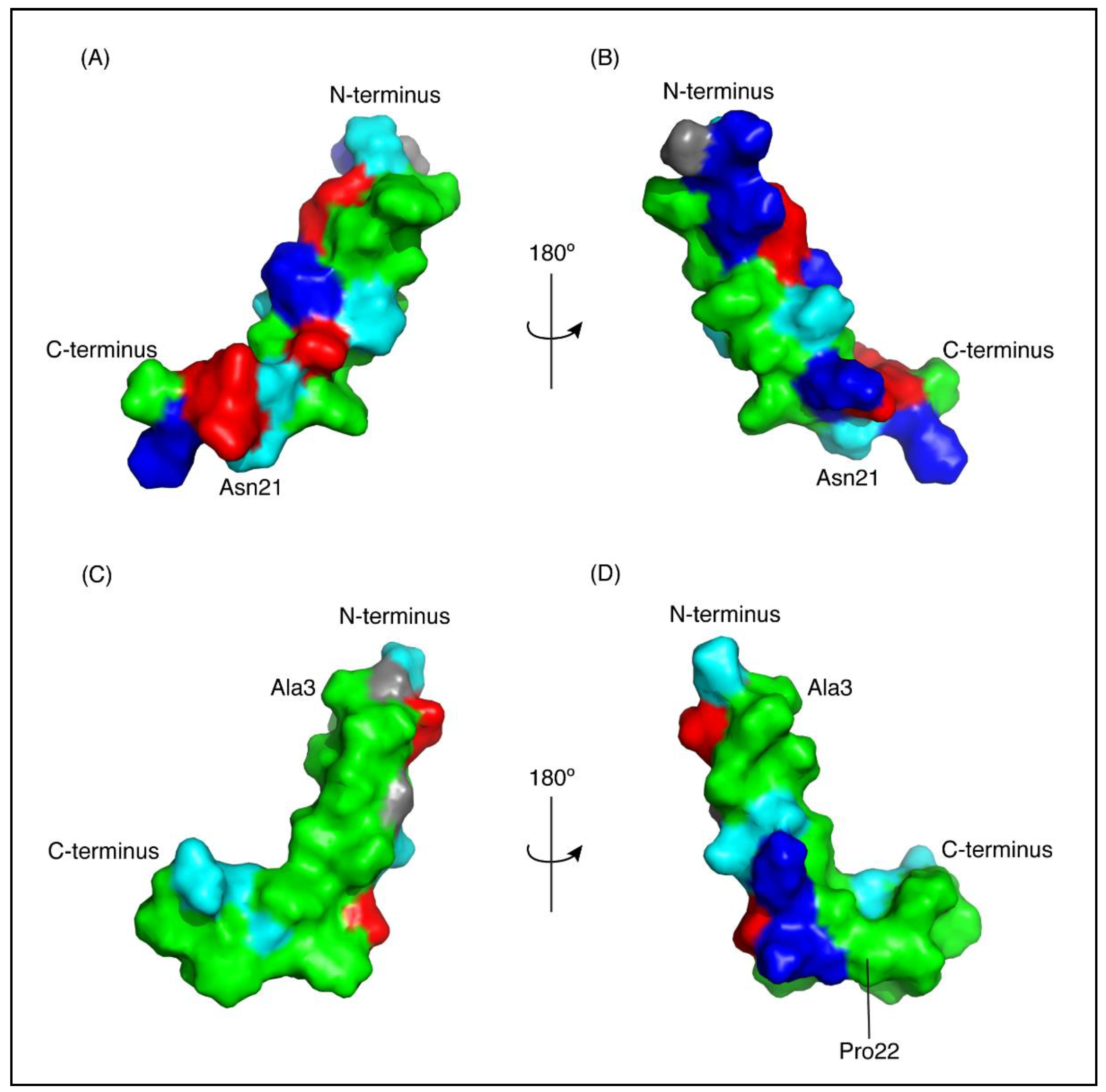 Marinedrugs 16 00201 g004