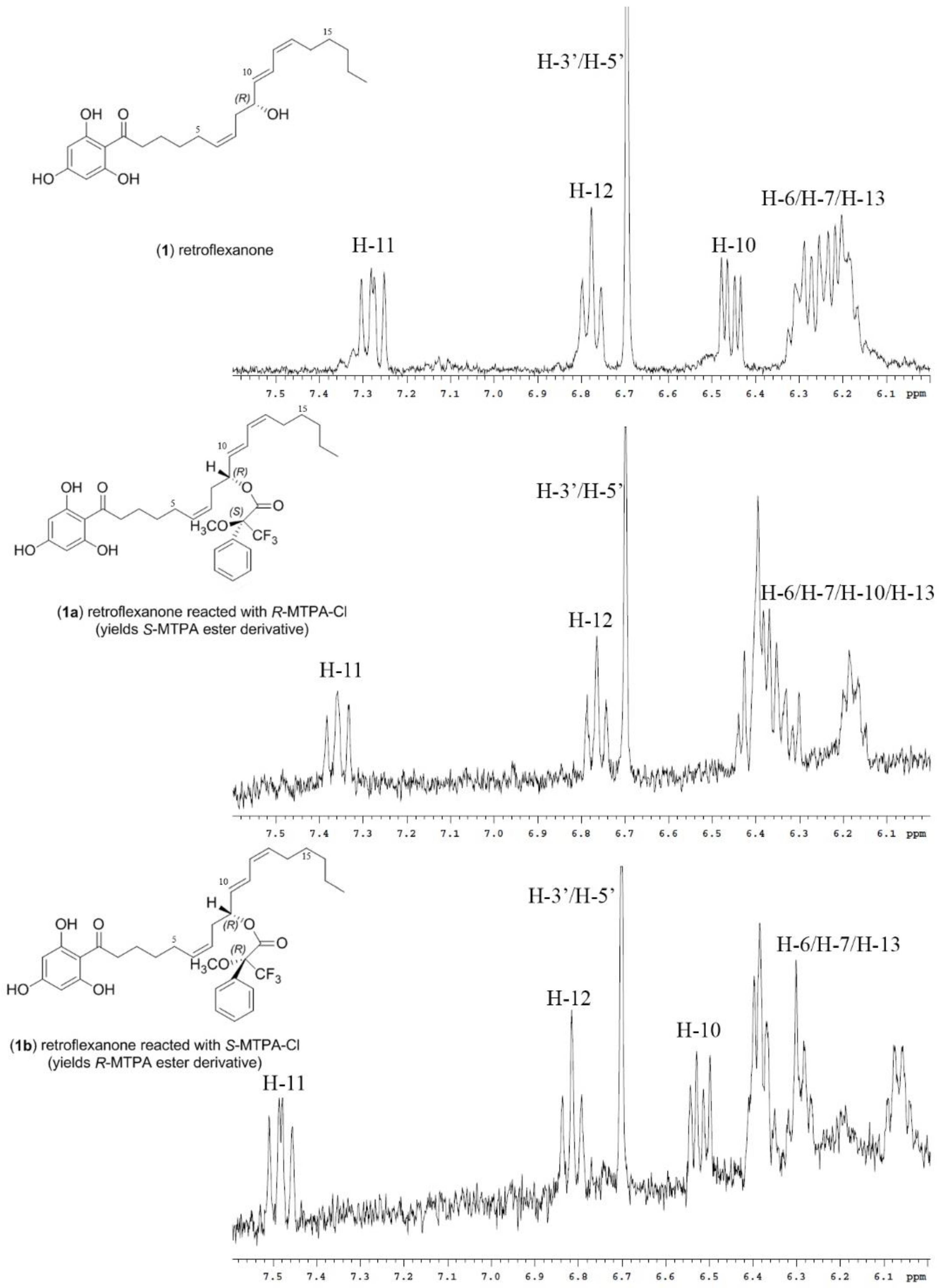 Marinedrugs 16 00205 g001 Marinedrugs 16 00205 g001