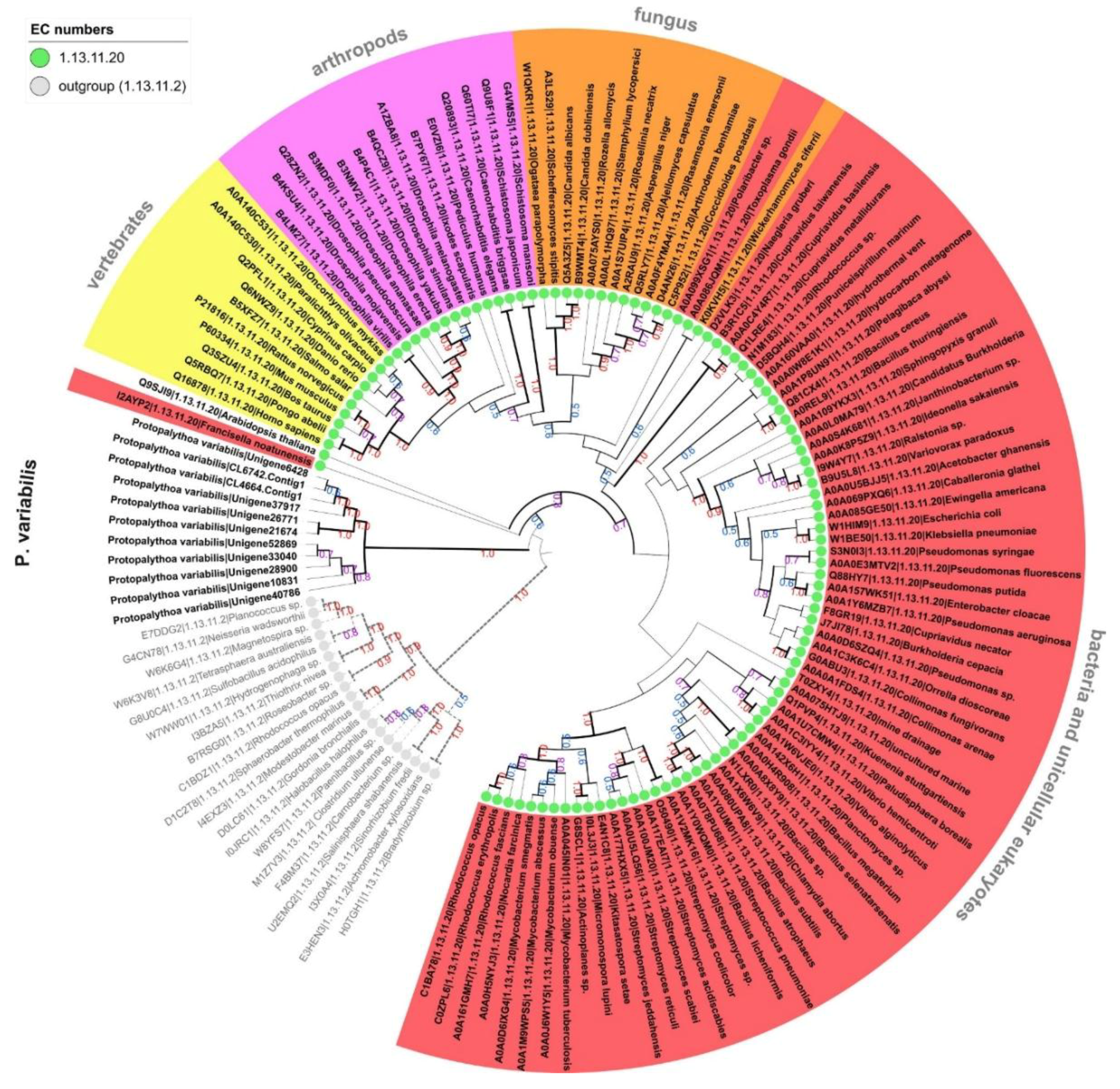 Marinedrugs 16 00207 g002