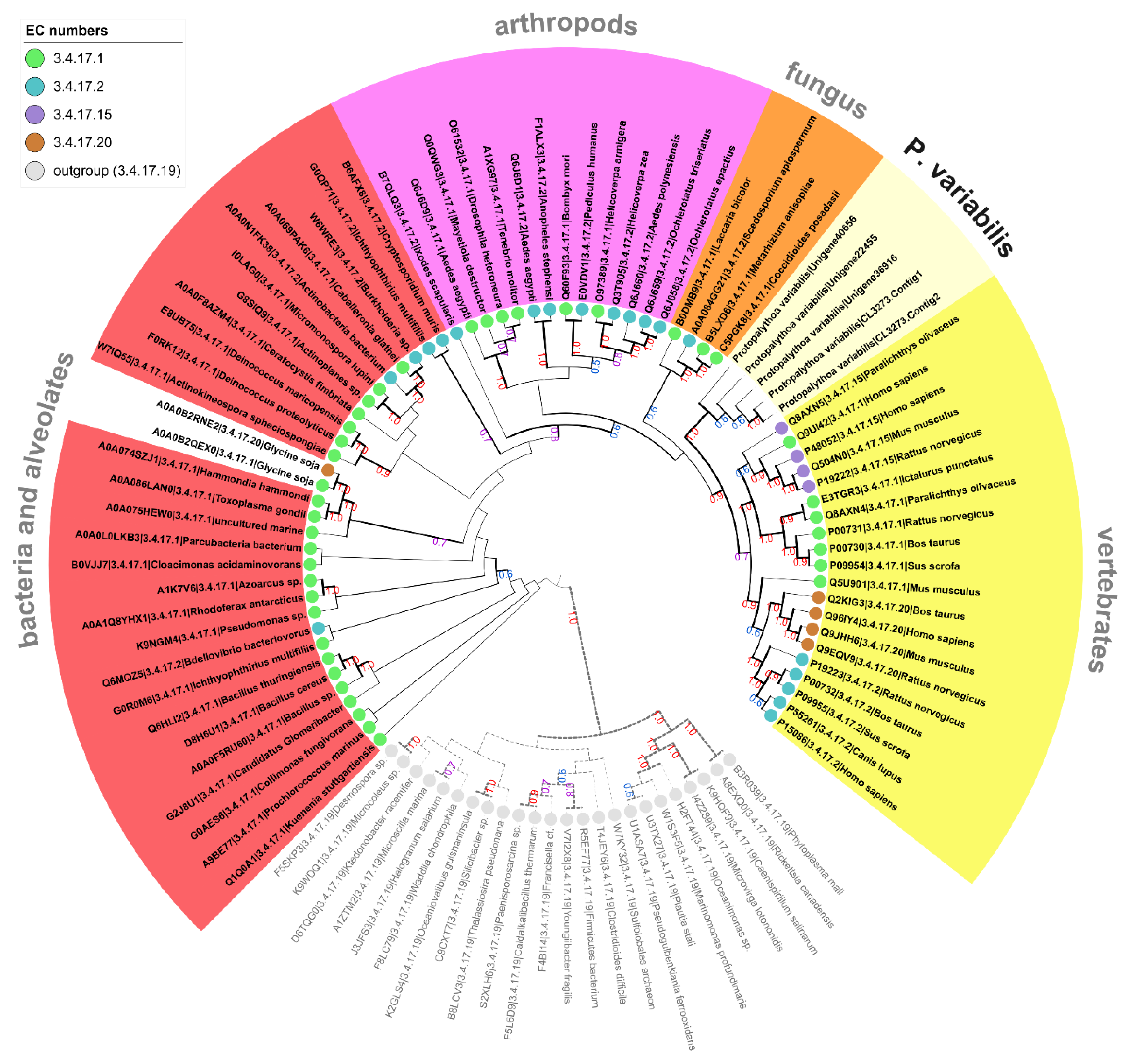 Marinedrugs 16 00207 g003