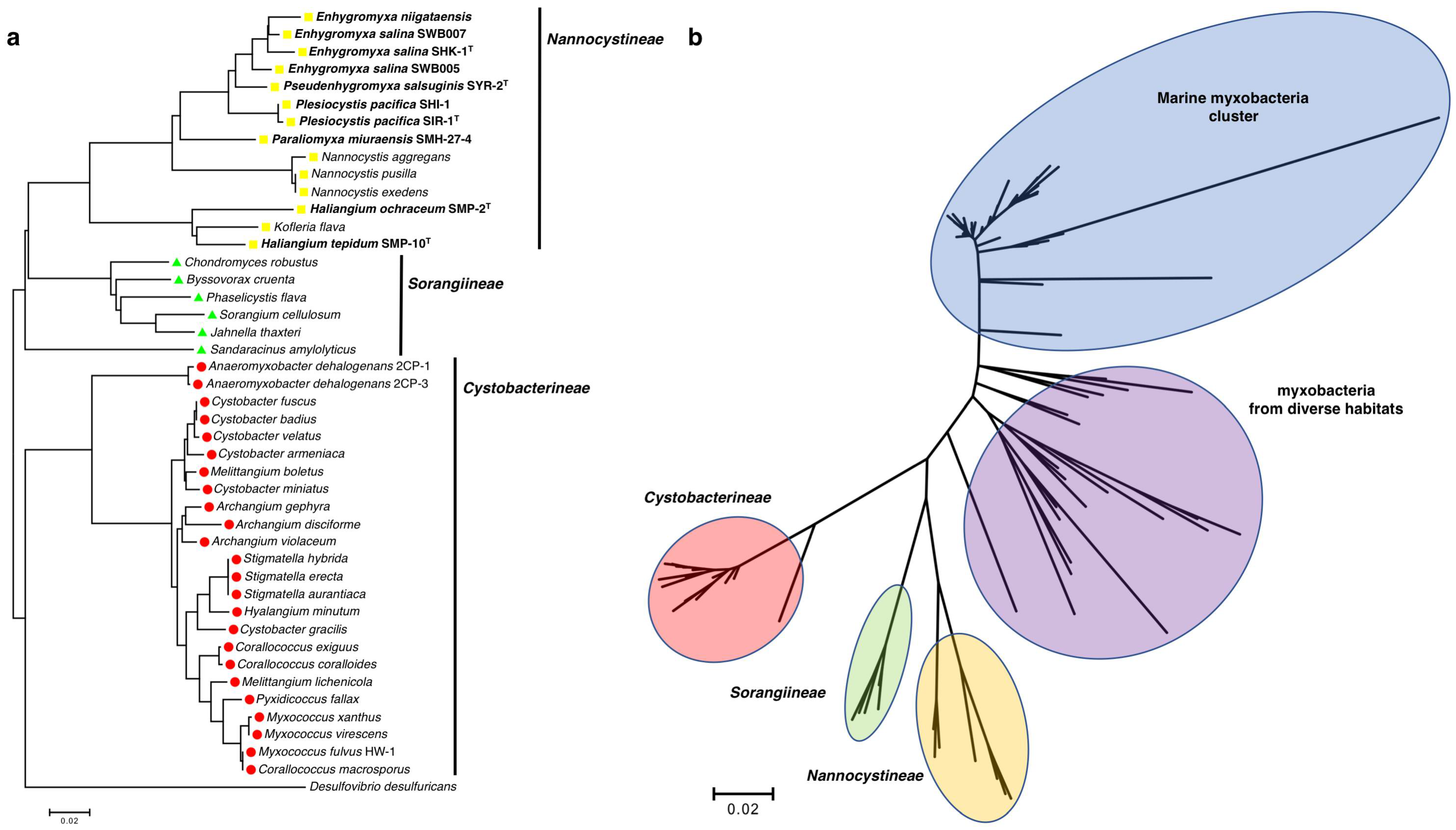 Marinedrugs 16 00209 g001