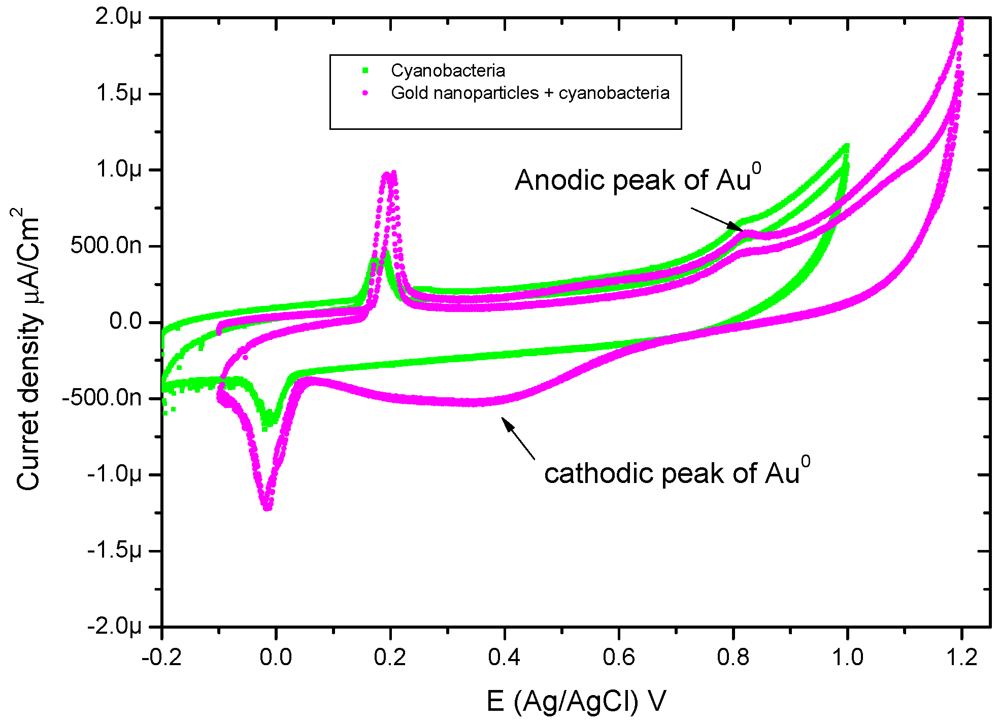 Marinedrugs 16 00217 g006
