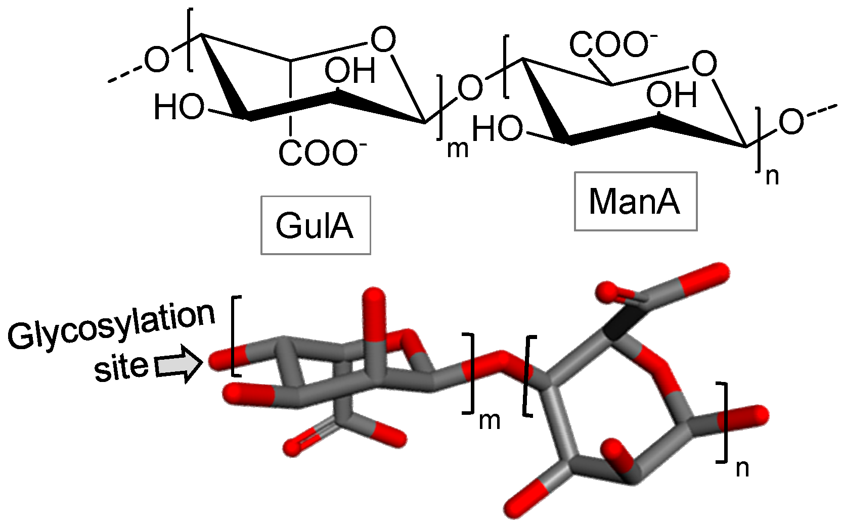 Marinedrugs 16 00233 g002