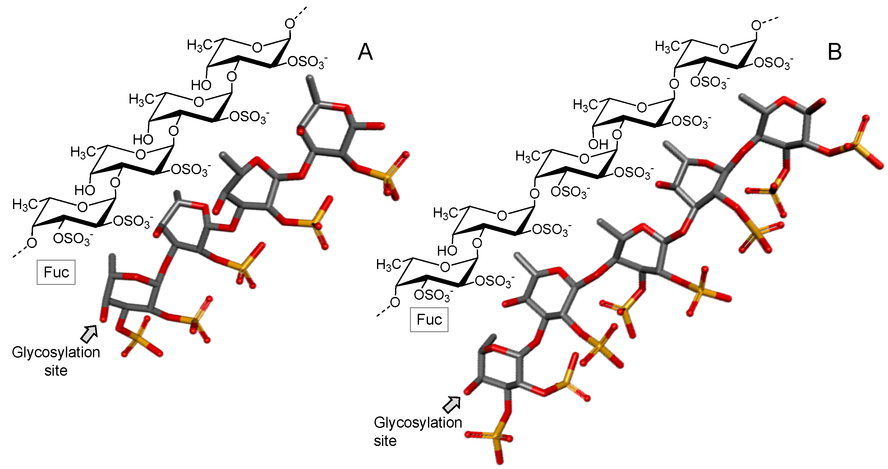 Marinedrugs 16 00233 g003