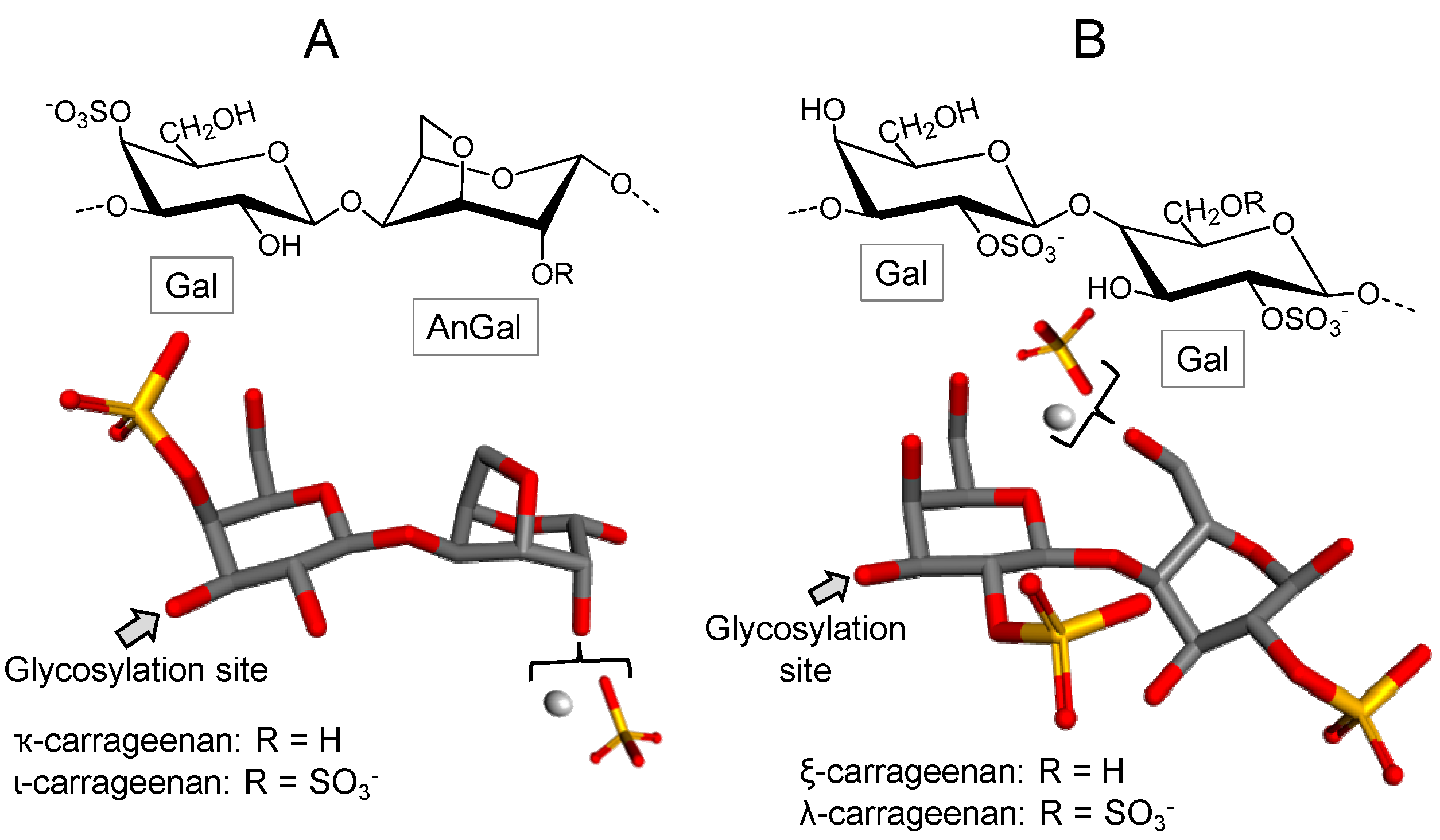 Marinedrugs 16 00233 g004