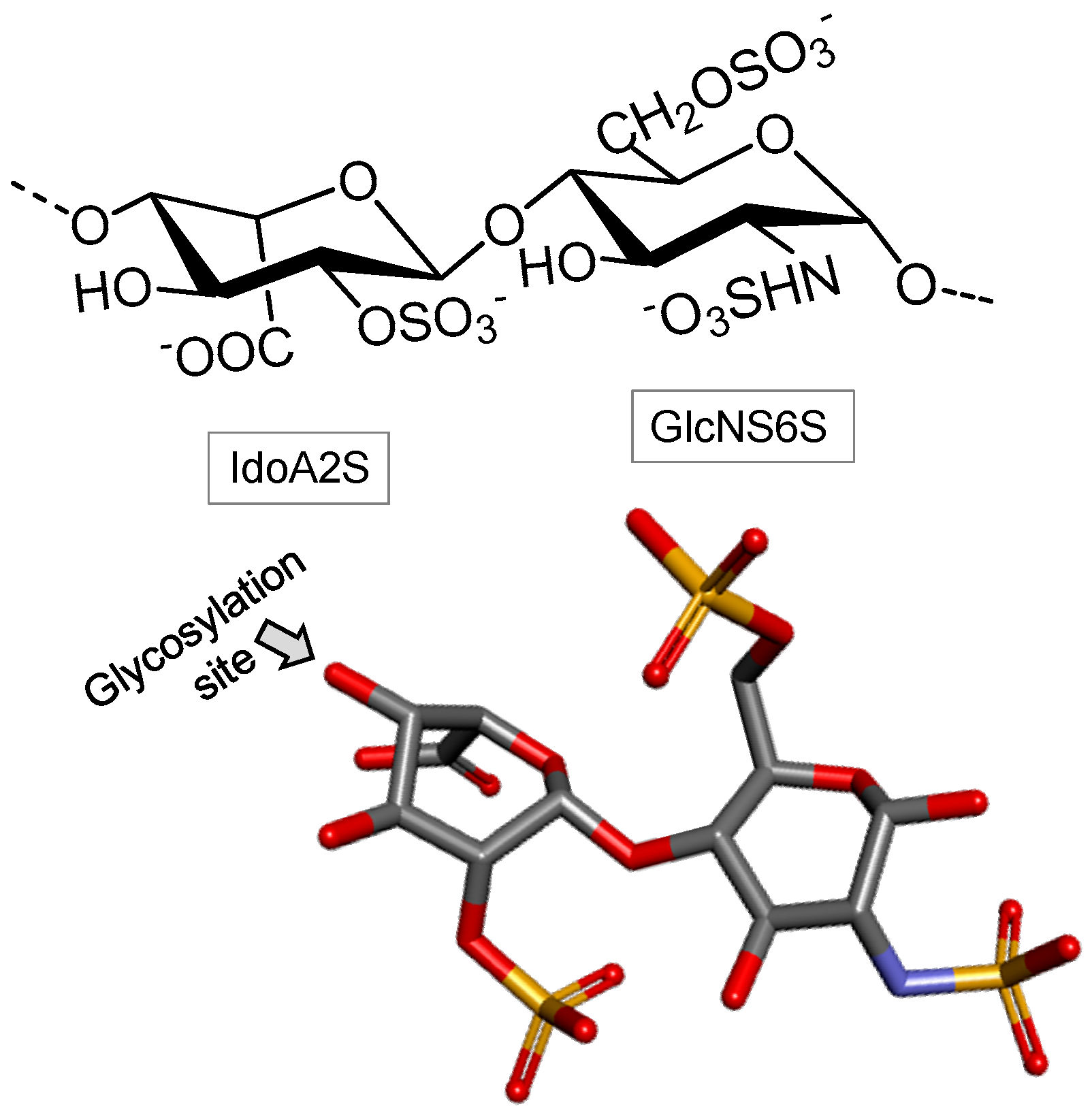 Marinedrugs 16 00233 g006