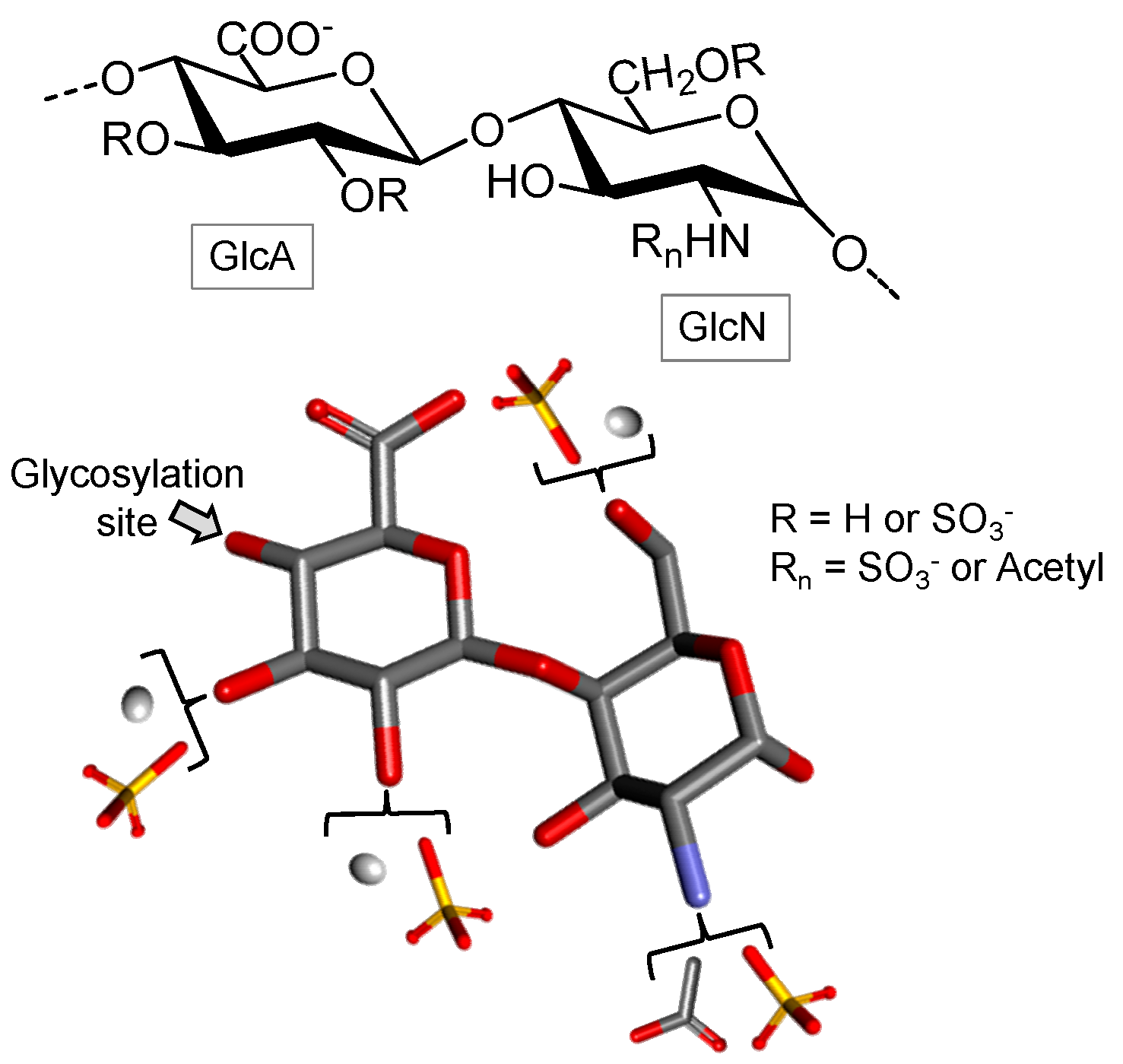 Marinedrugs 16 00233 g007