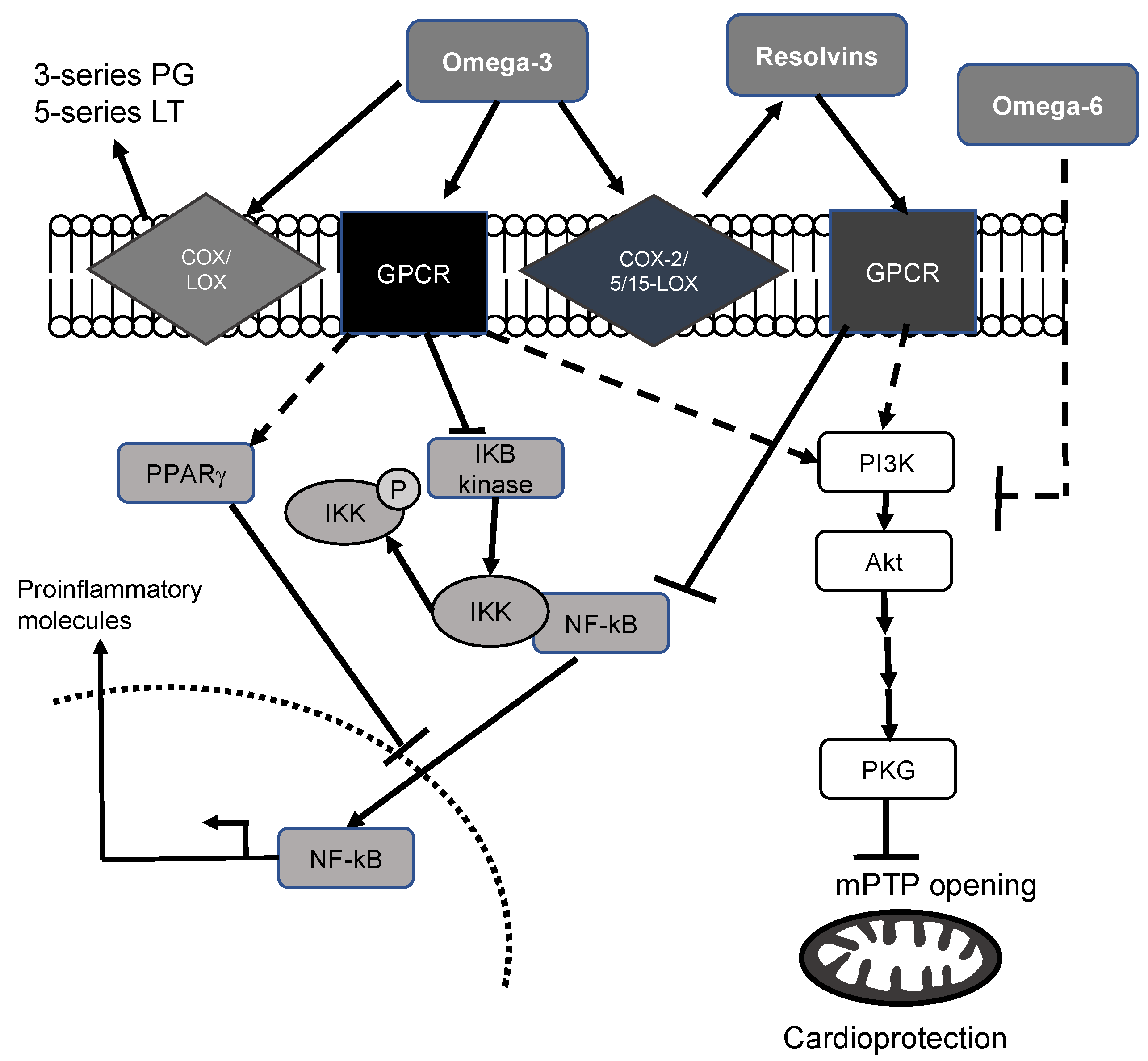 Marinedrugs 16 00234 g001