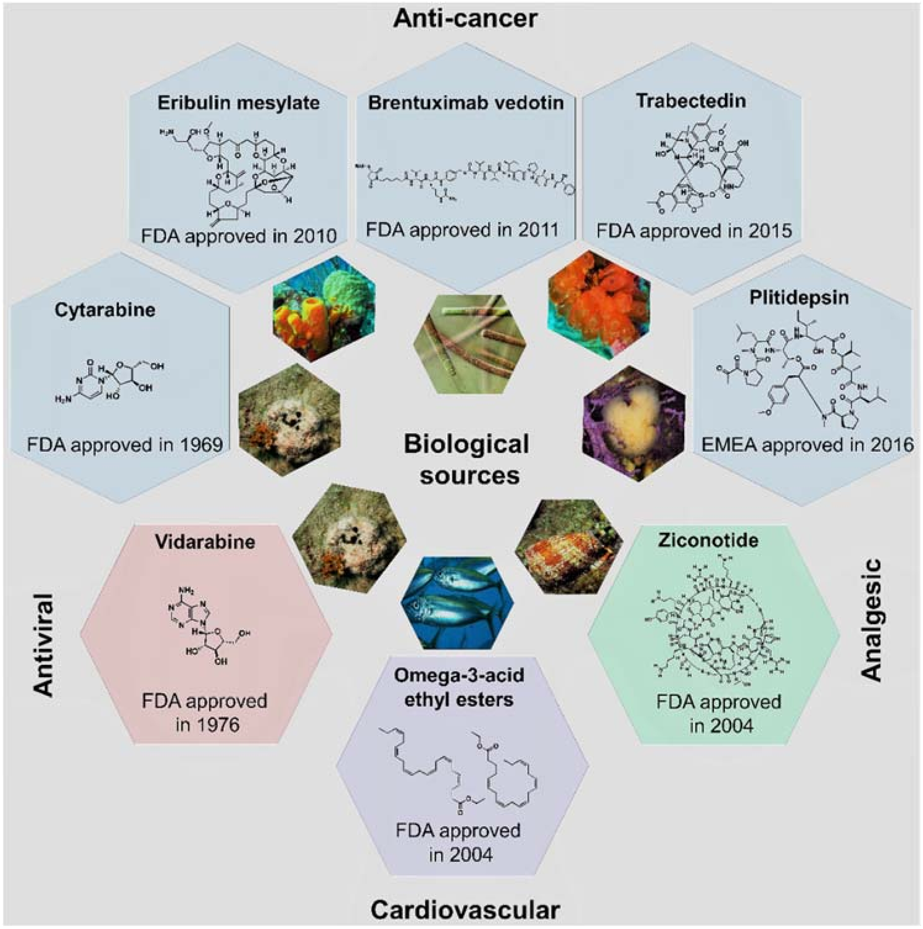 Marinedrugs 16 00236 g004