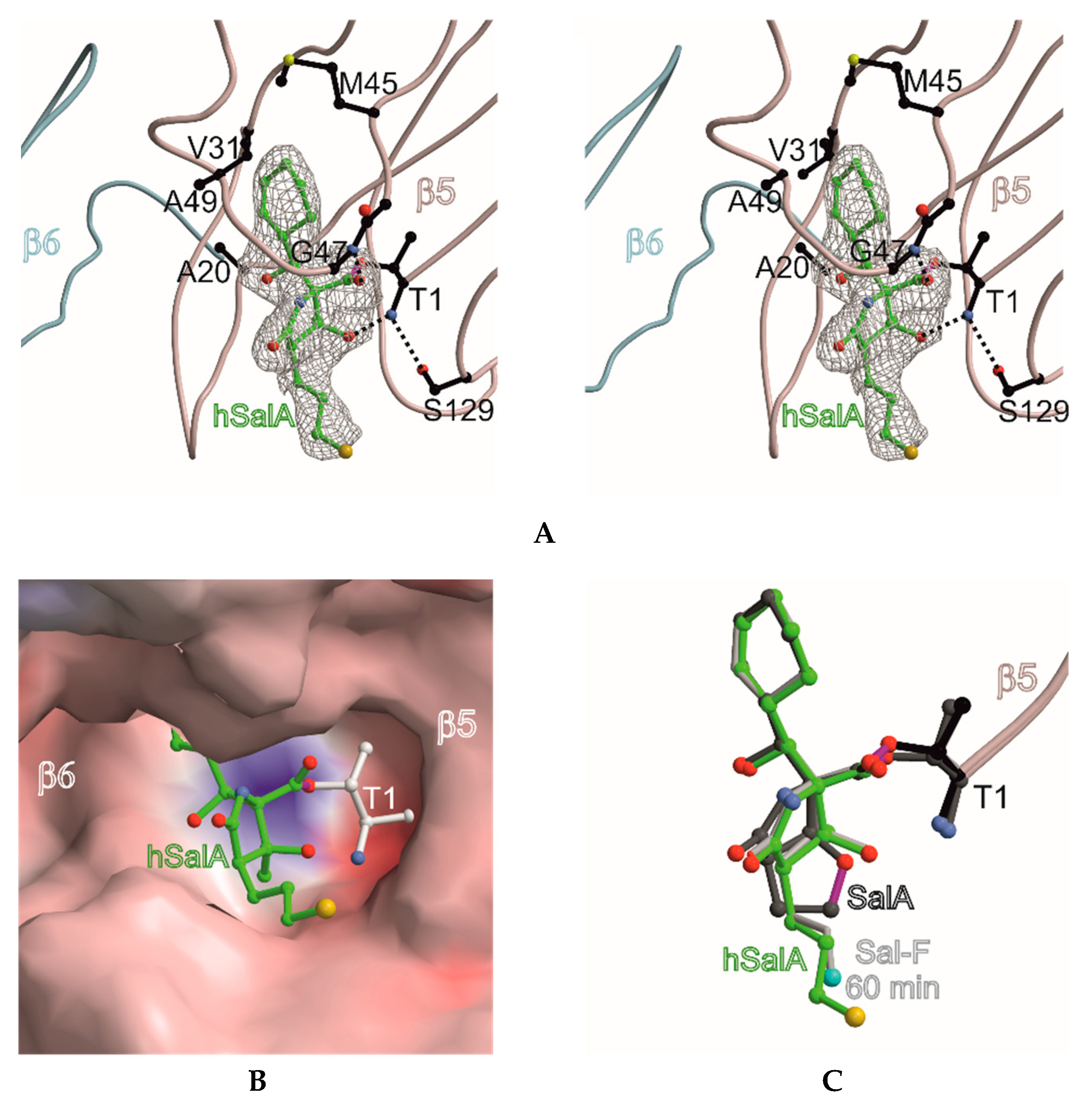 Marinedrugs 16 00240 g002