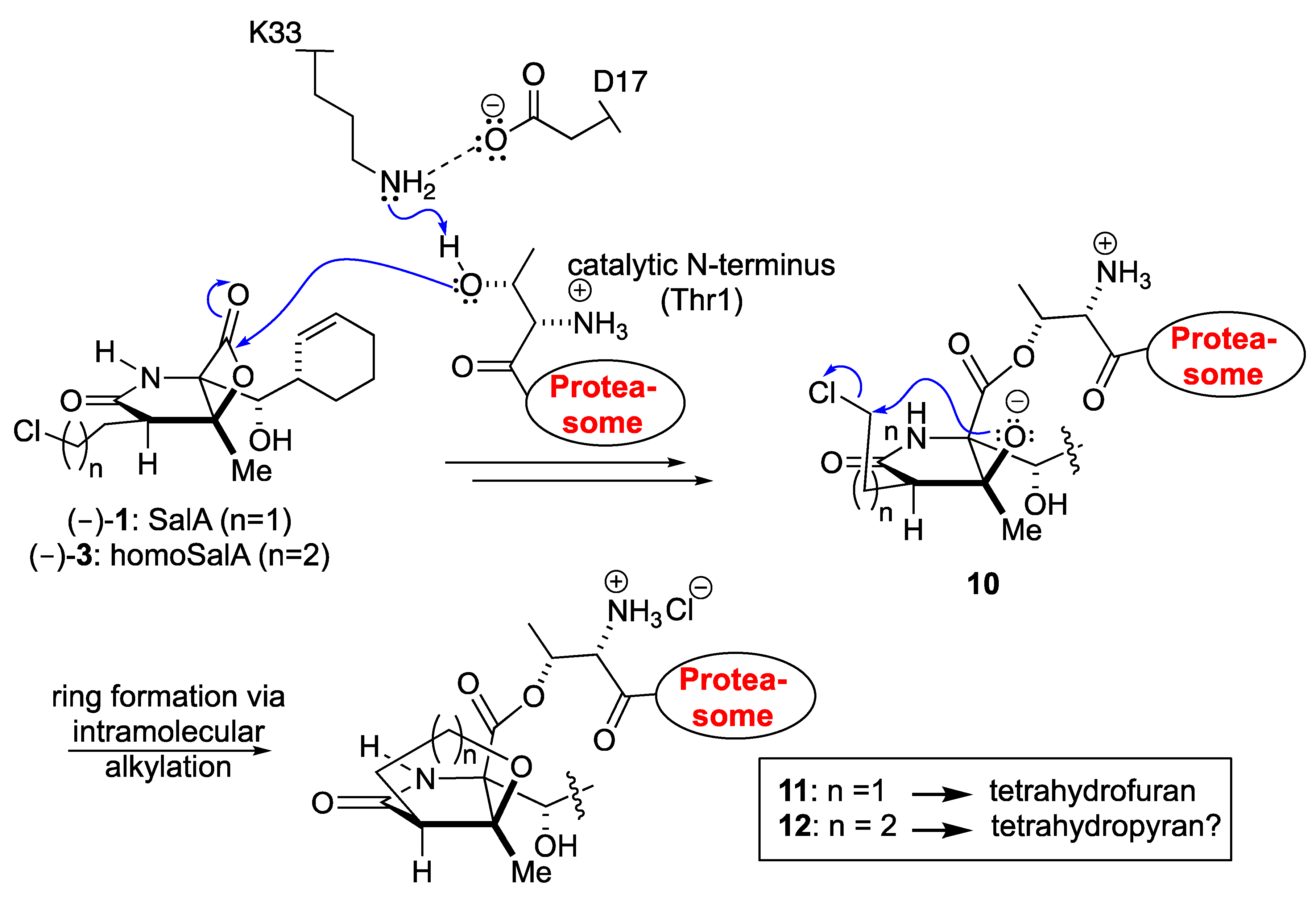 Marinedrugs 16 00240 sch001