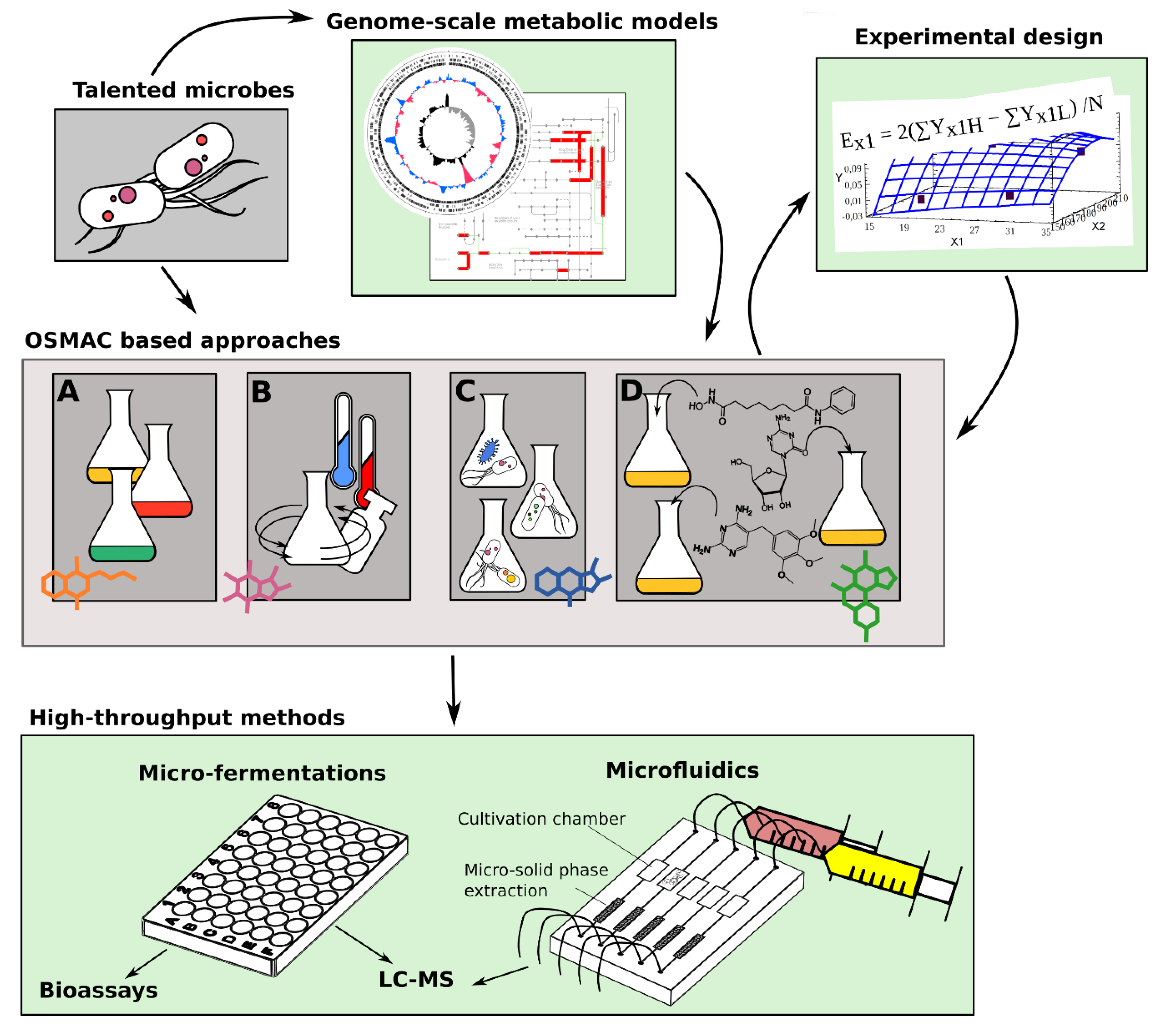 Marinedrugs 16 00244 g001