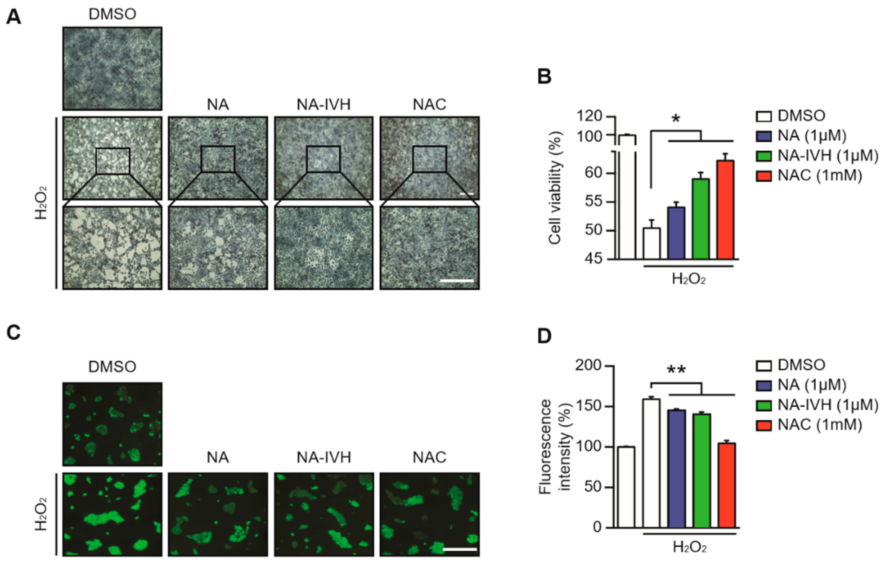 Marinedrugs 16 00262 g003