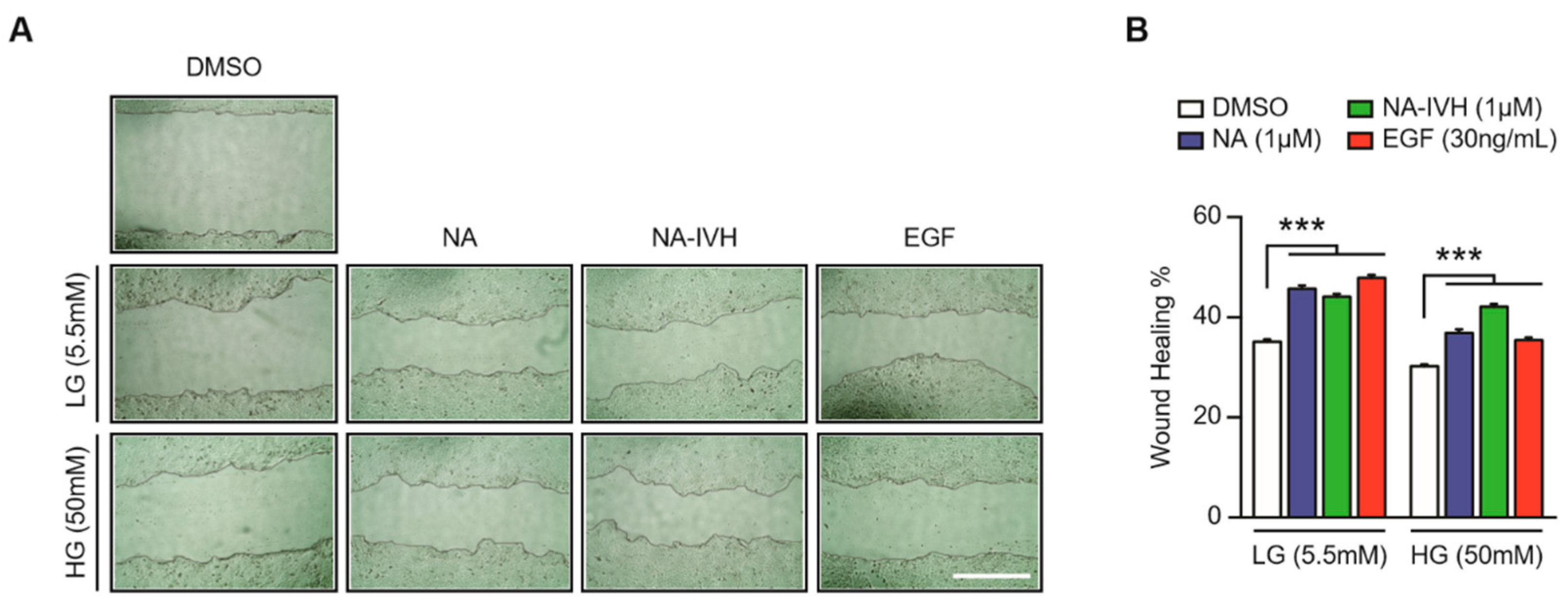 Marinedrugs 16 00262 g004