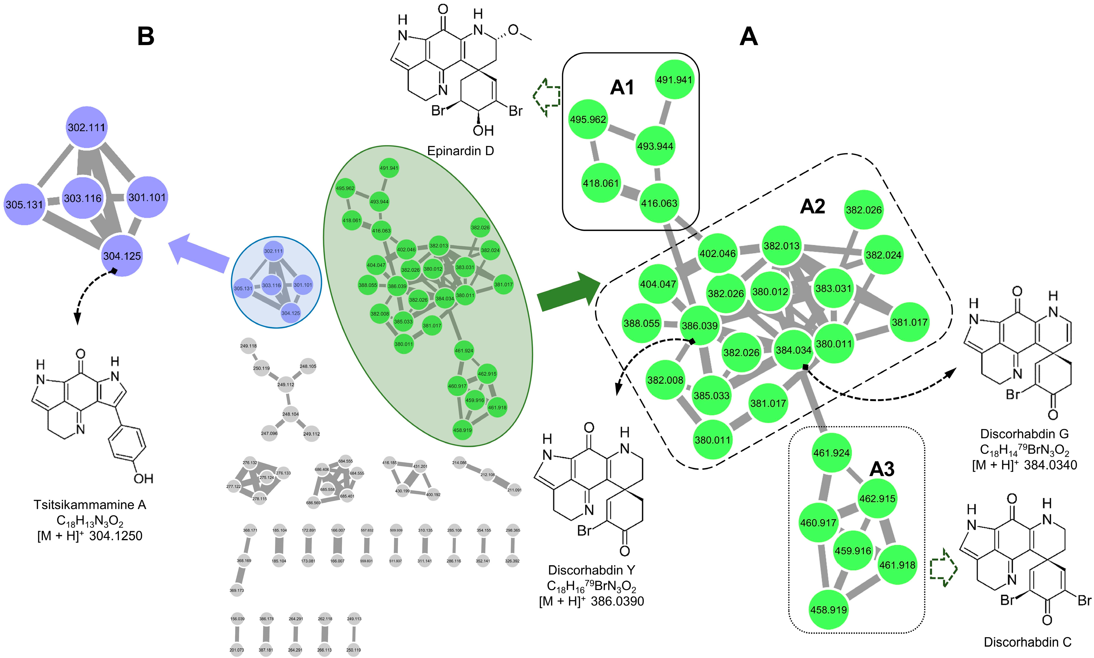 Marinedrugs 16 00268 g001 Marinedrugs 16 00268 g001