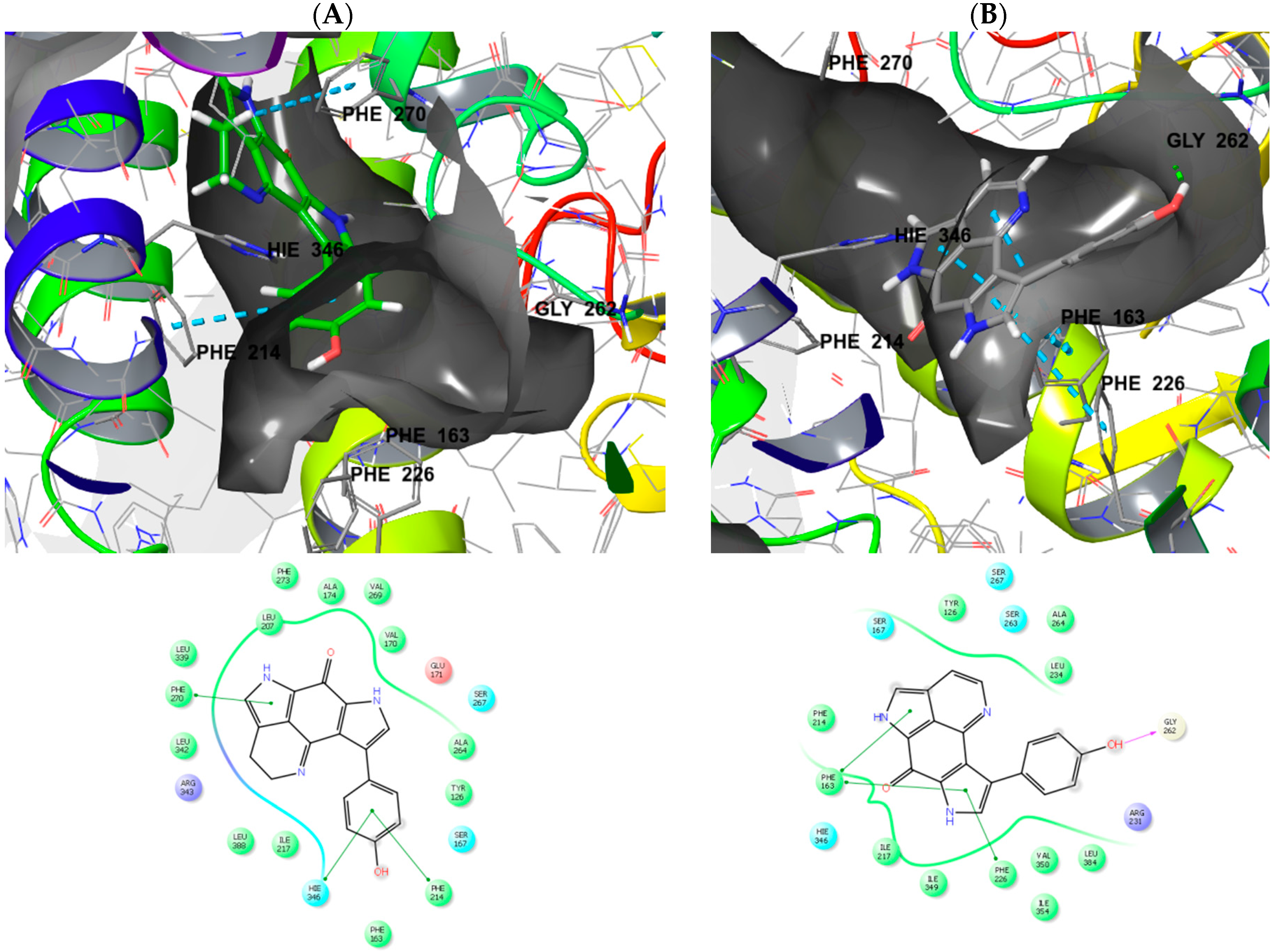 Marinedrugs 16 00268 g005 Marinedrugs 16 00268 g005