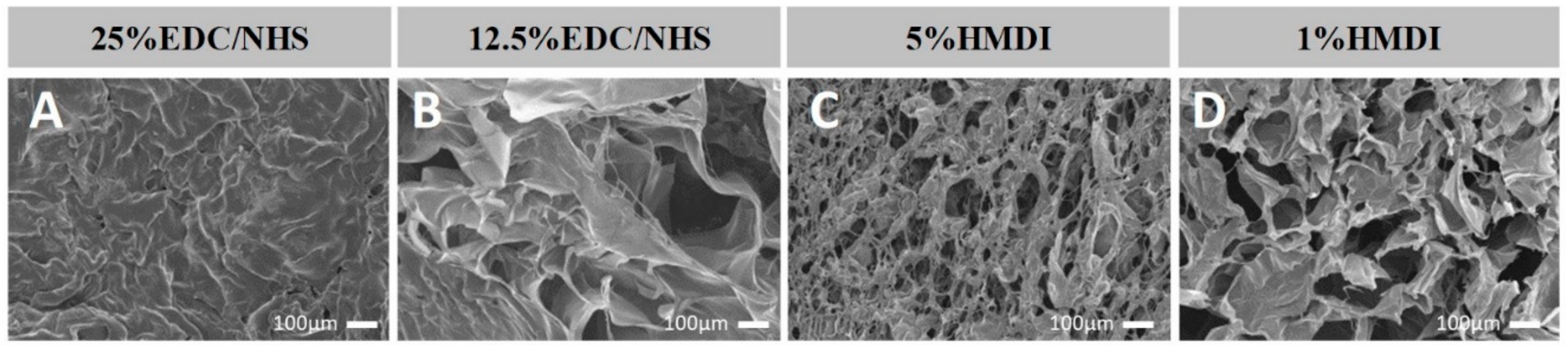 Marinedrugs 16 00269 g002