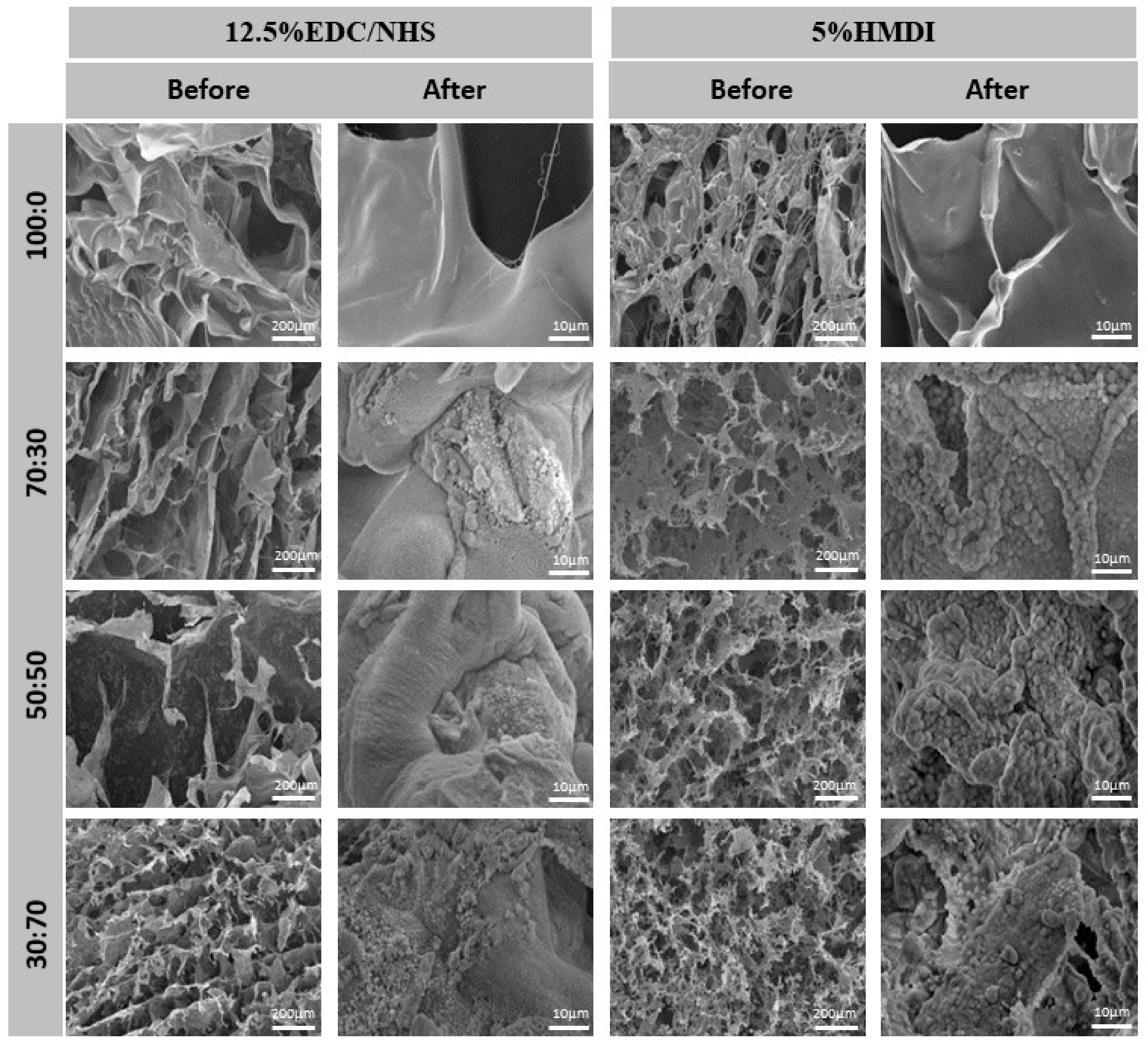 Marinedrugs 16 00269 g004