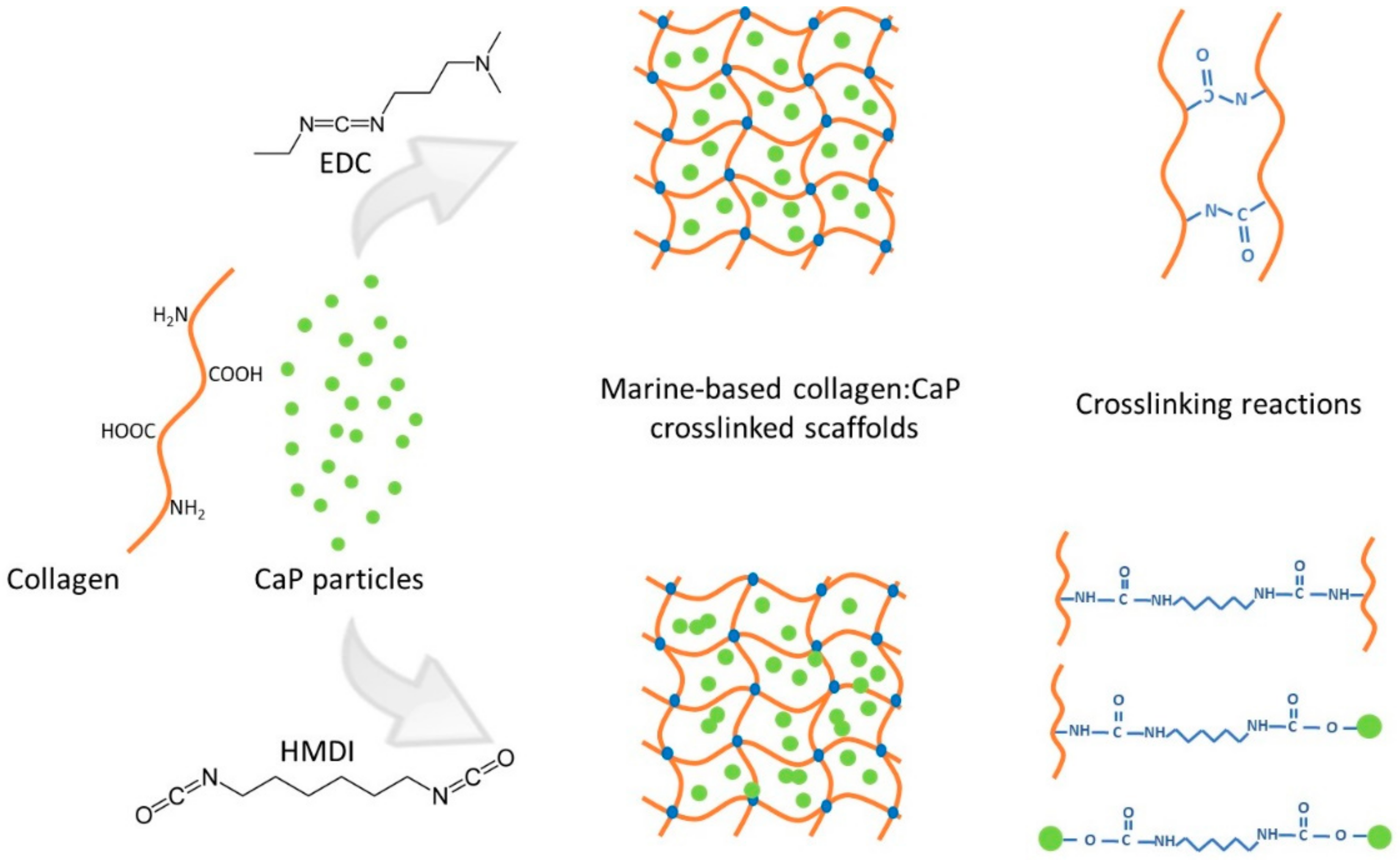 Marinedrugs 16 00269 sch001