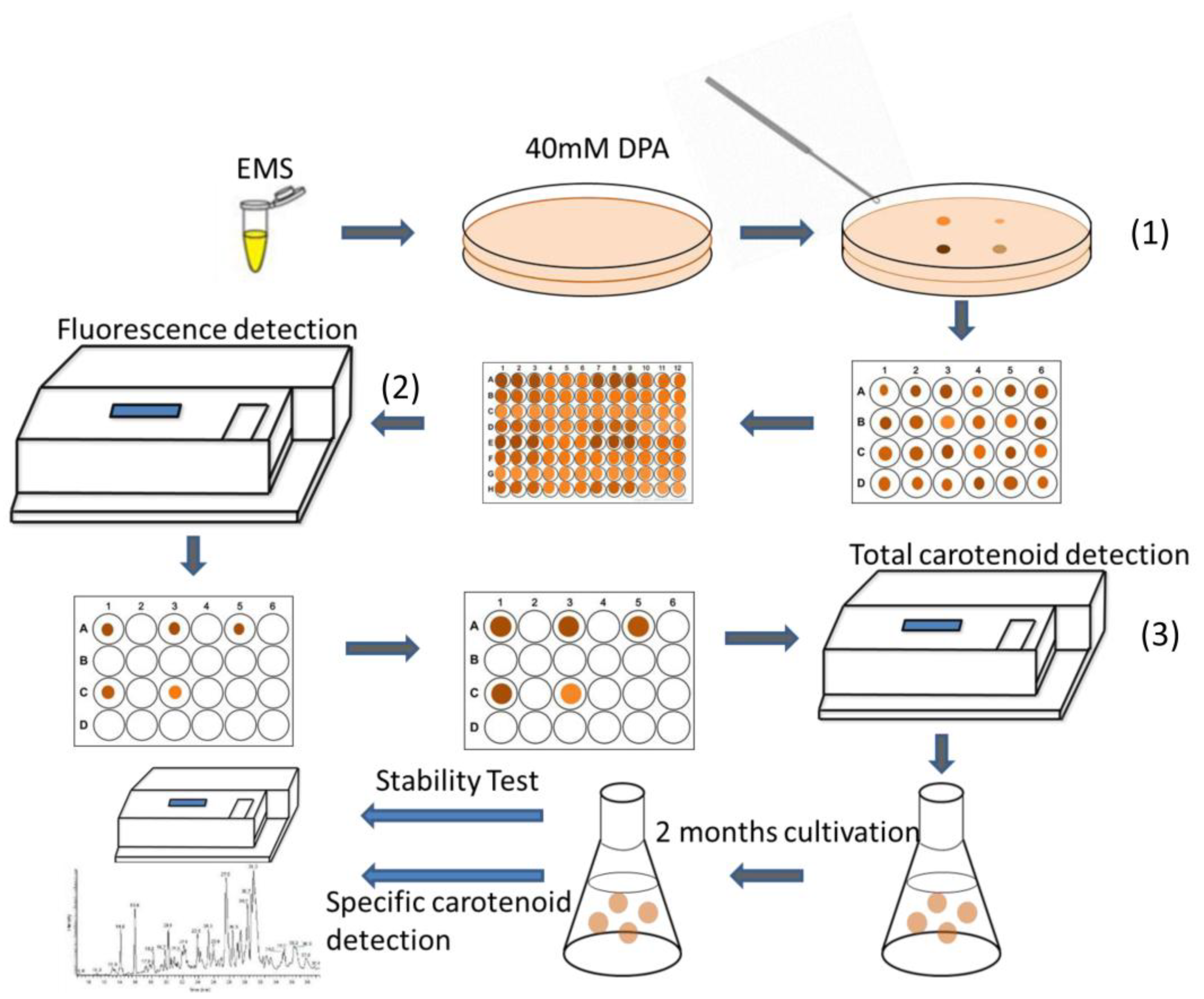 Marinedrugs 16 00272 g001