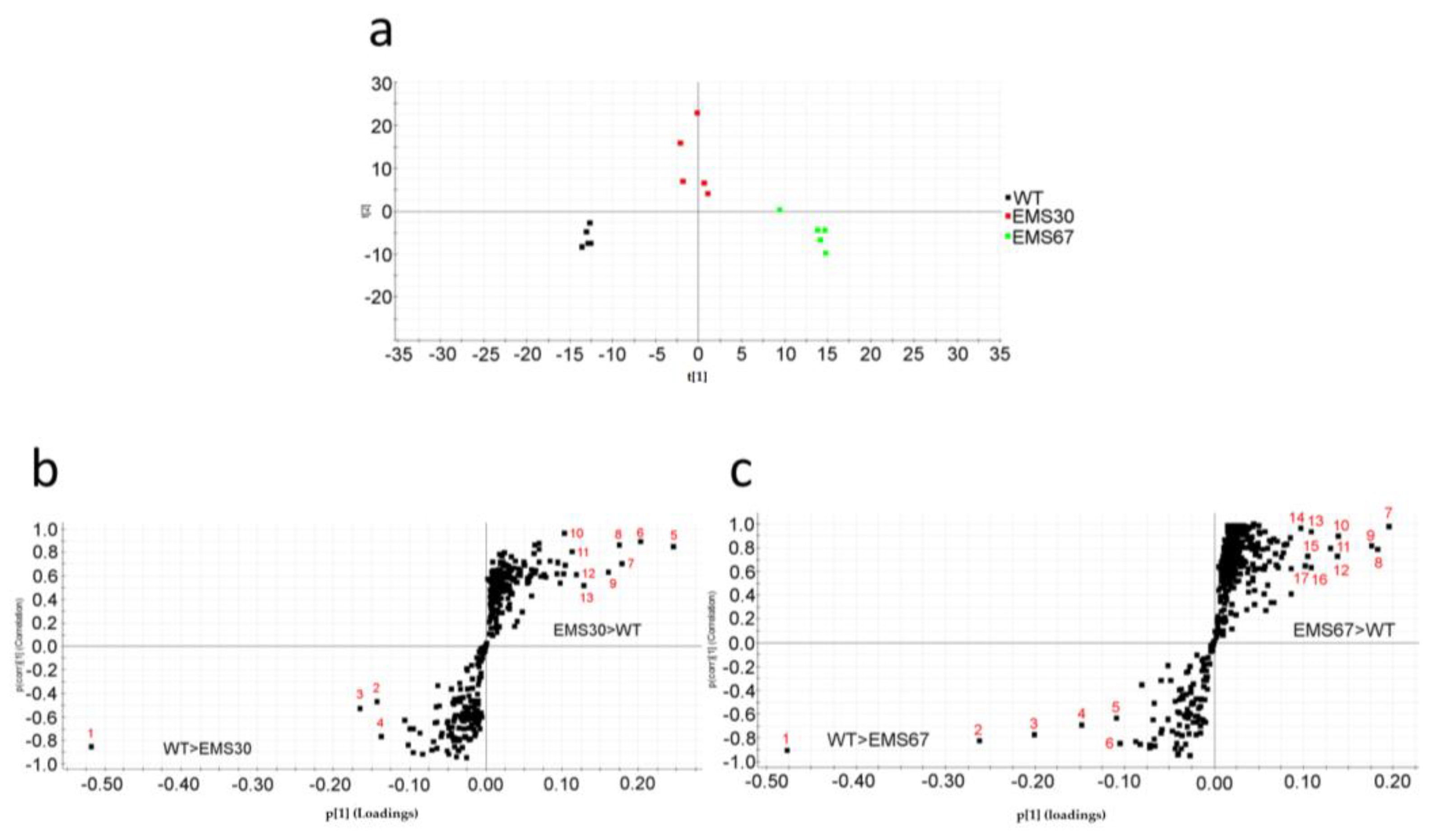 Marinedrugs 16 00272 g005
