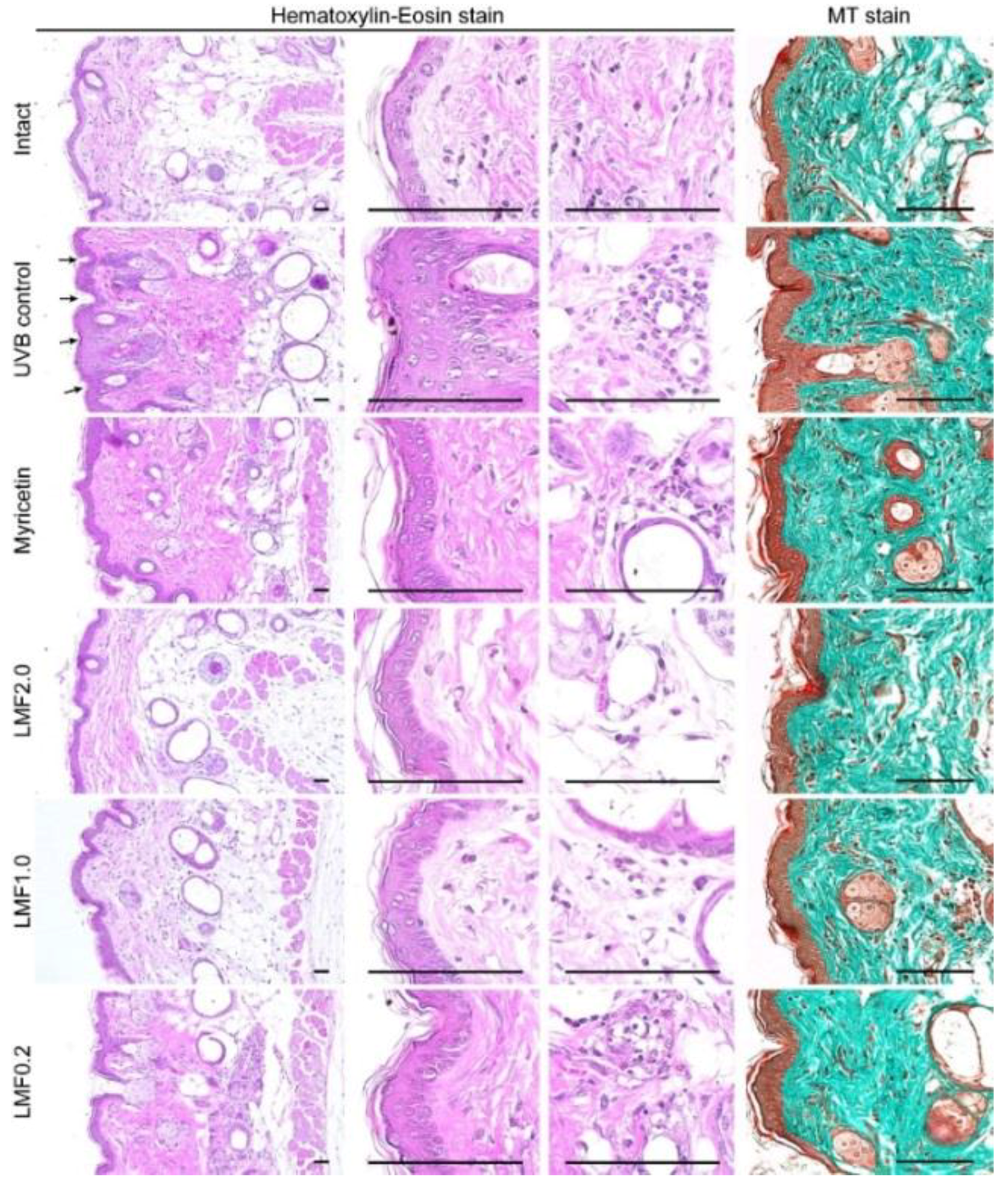 Marinedrugs 16 00286 g004