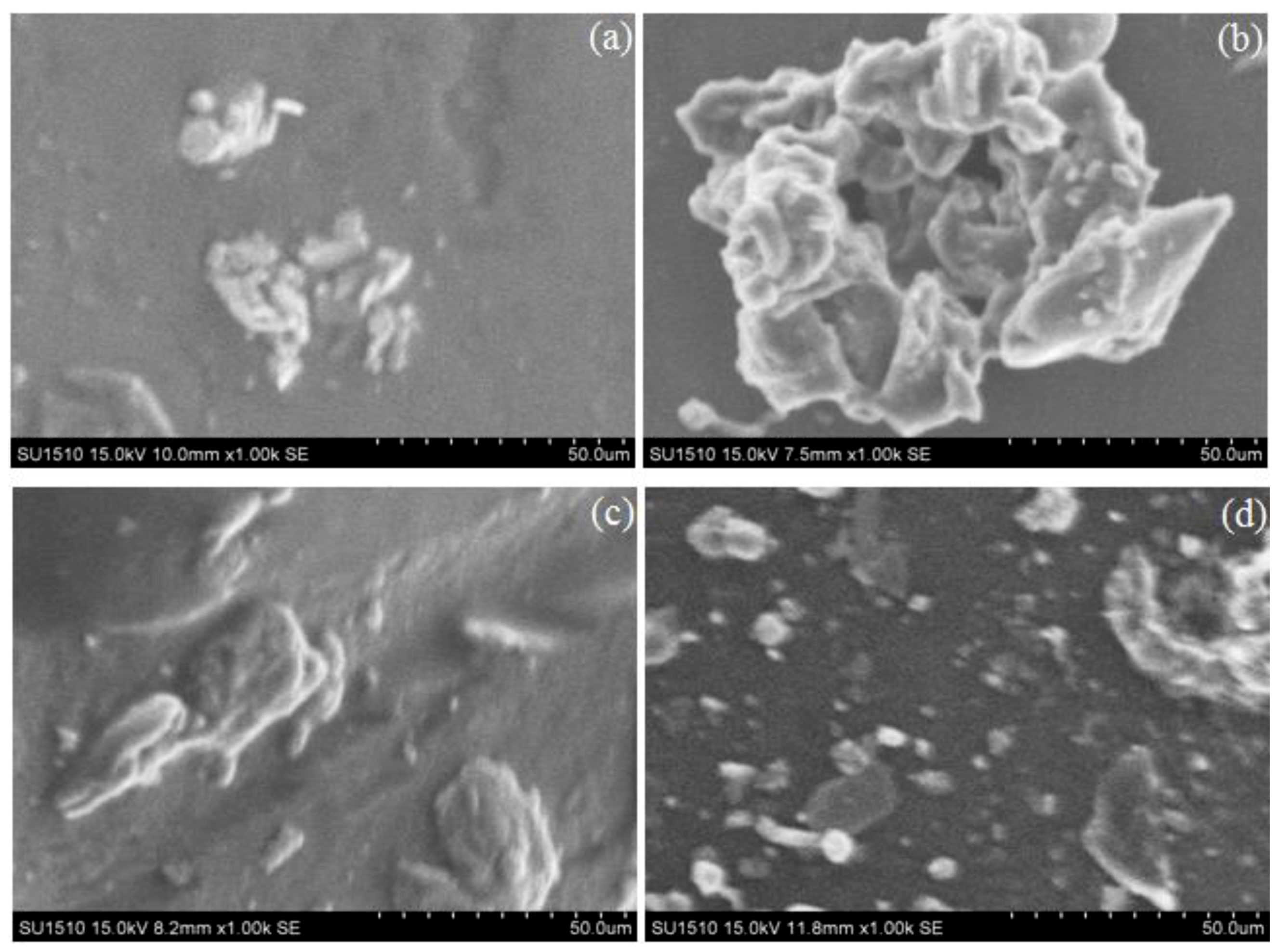 Marinedrugs 16 00287 g003 Marinedrugs 16 00287 g003