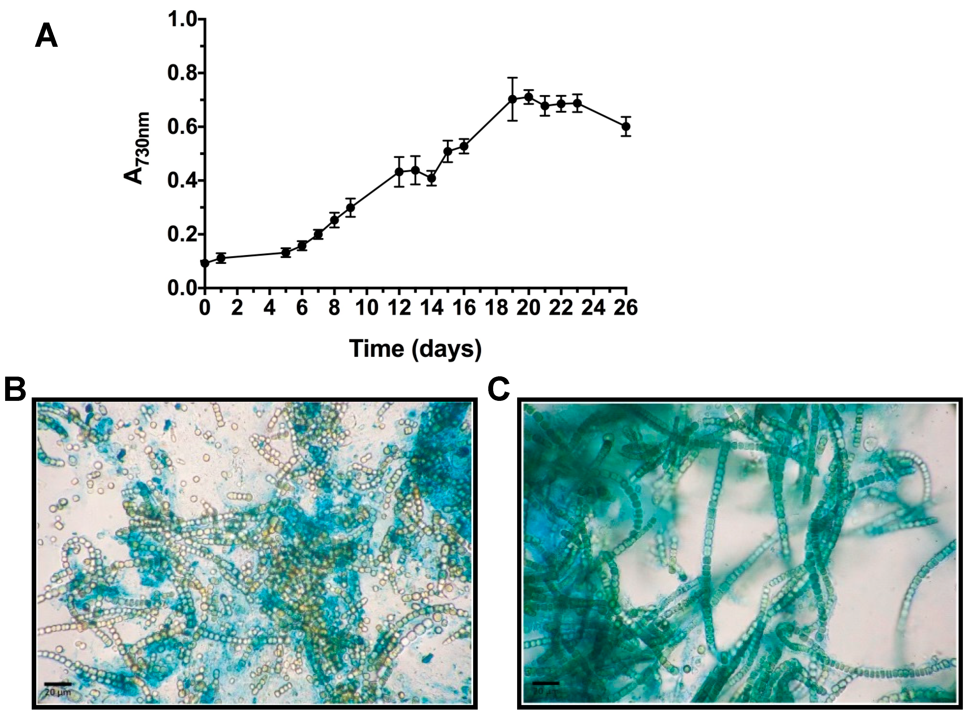 Marinedrugs 16 00298 g002