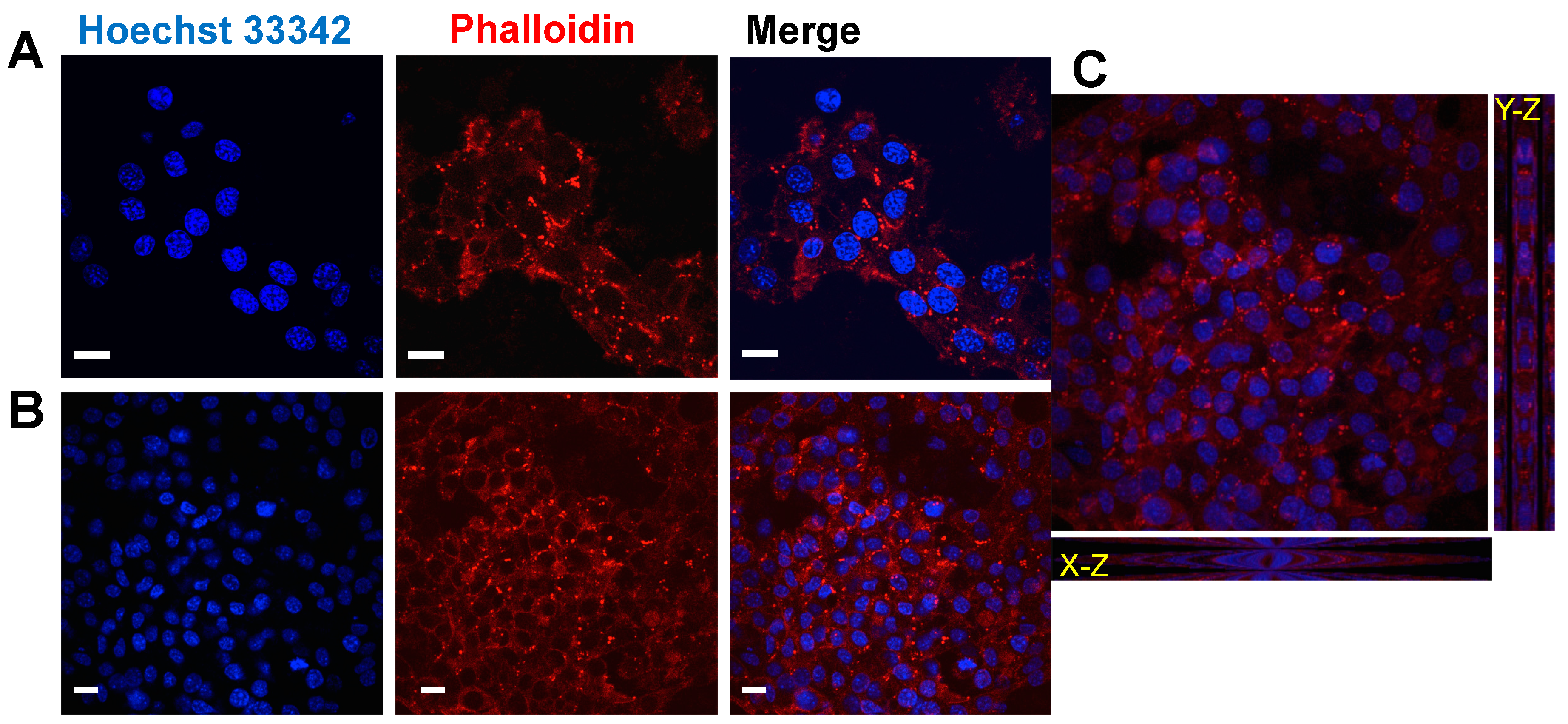 Marinedrugs 16 00298 g007