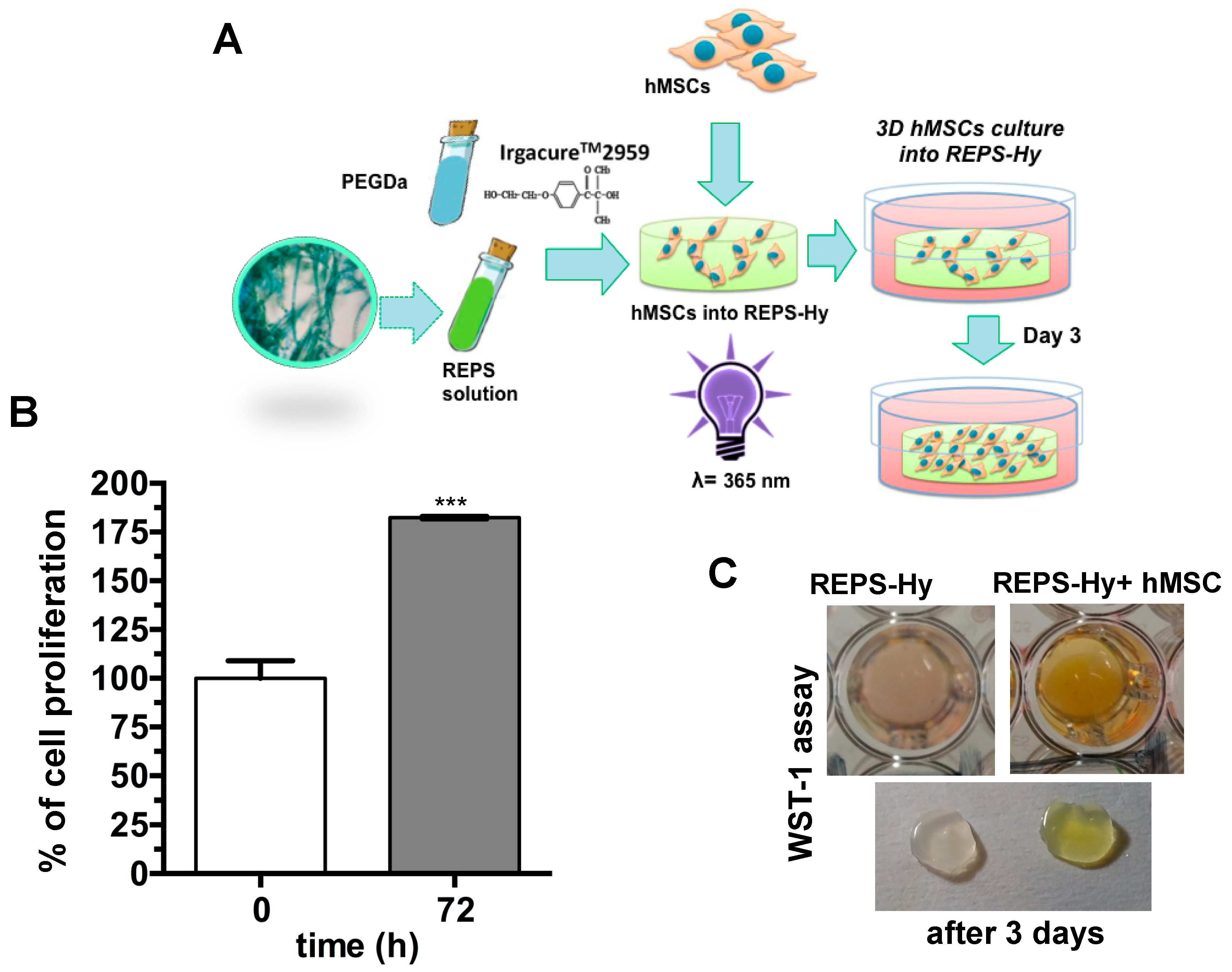 Marinedrugs 16 00298 g008
