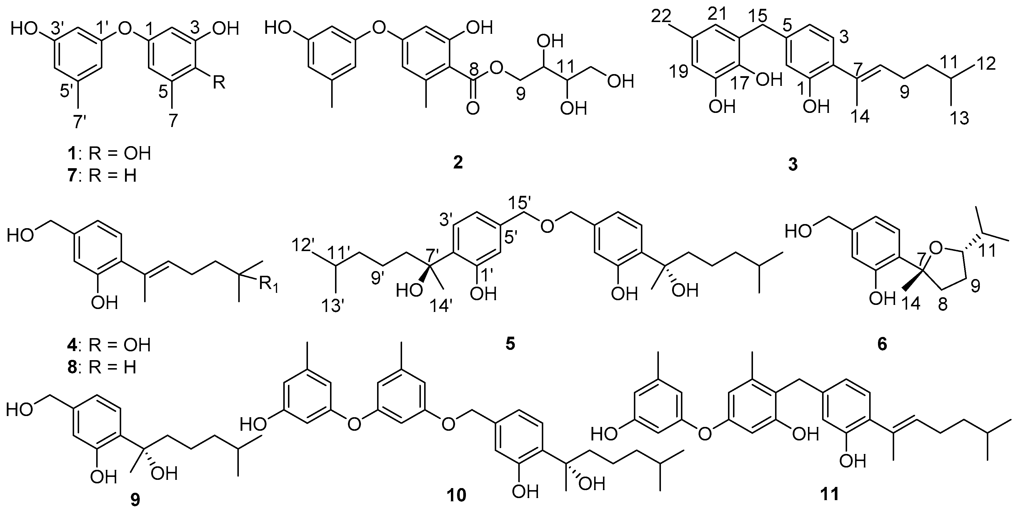 Marinedrugs 16 00307 g001