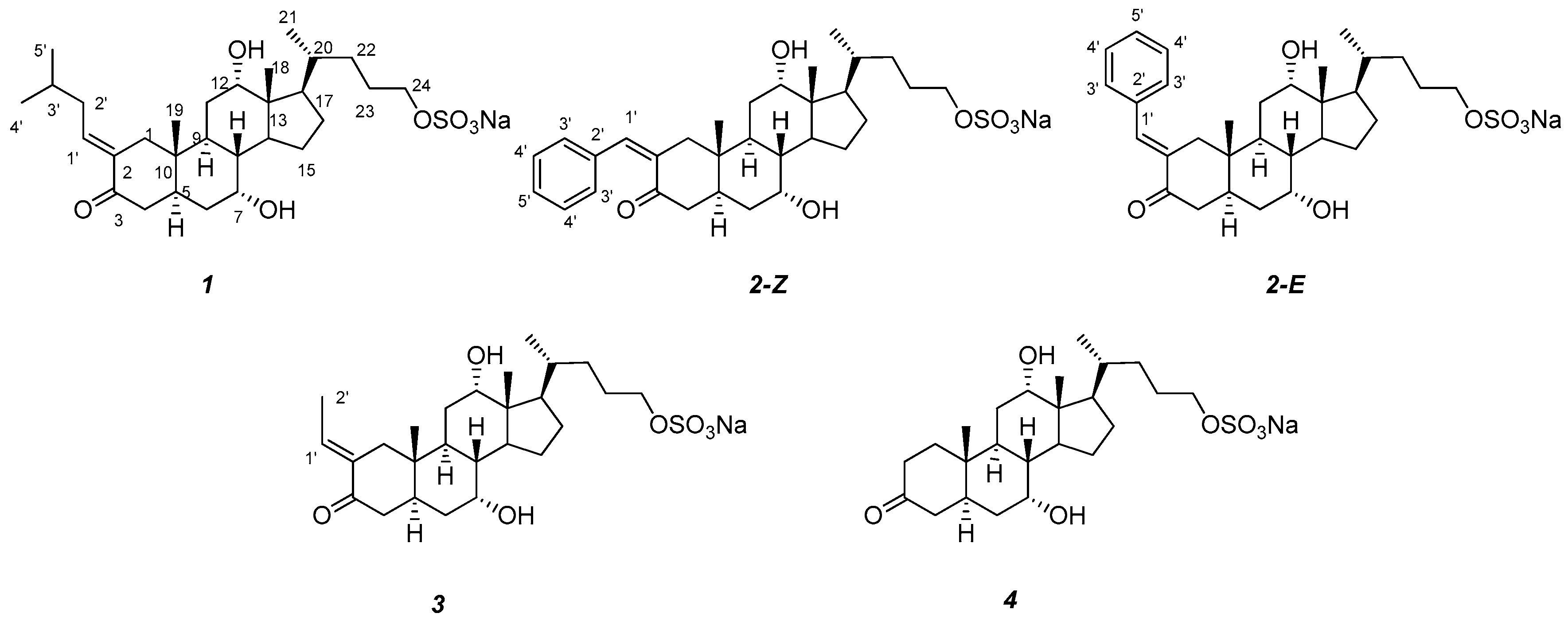 Marinedrugs 16 00308 g001