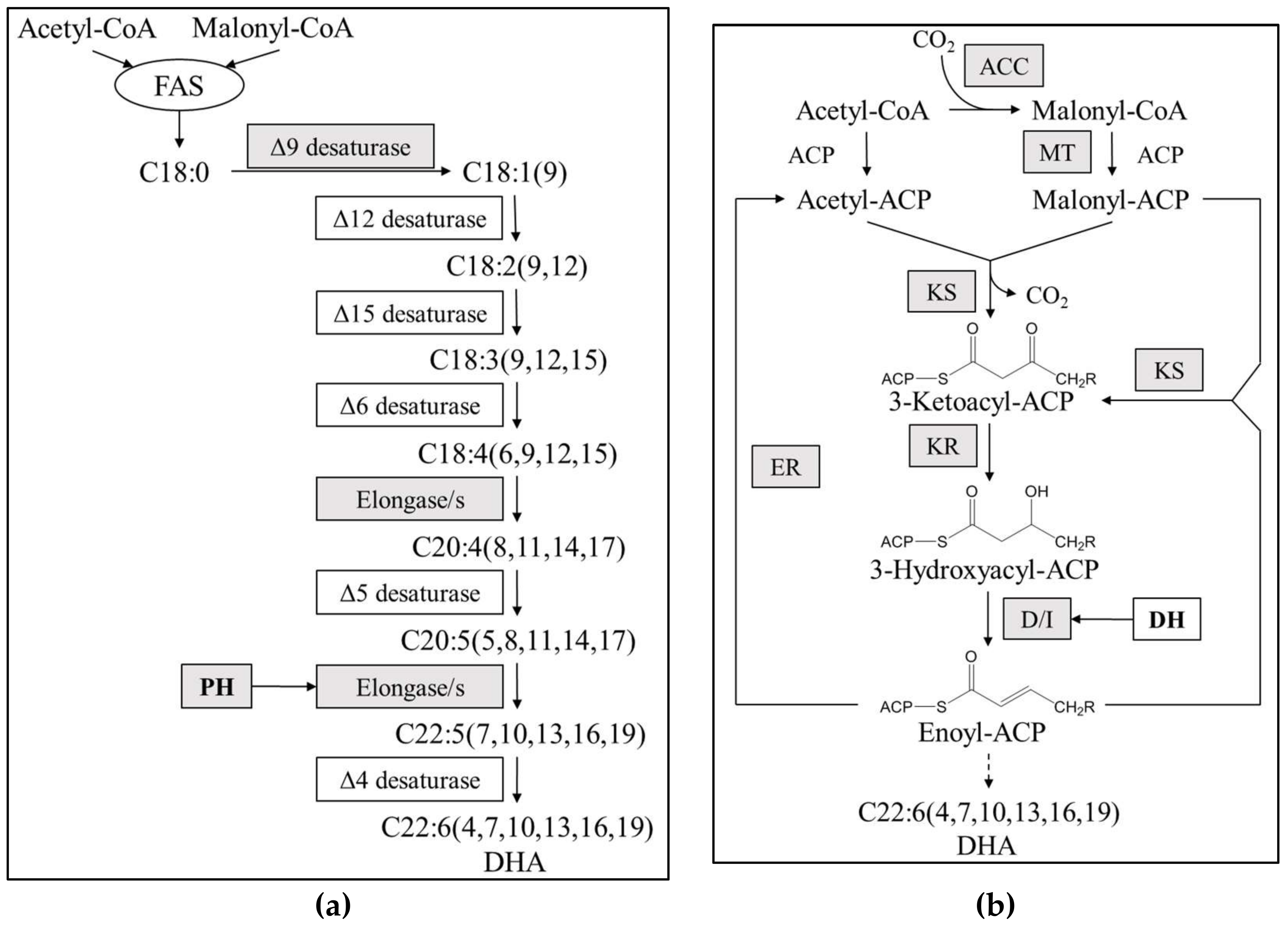 Marinedrugs 16 00310 g004
