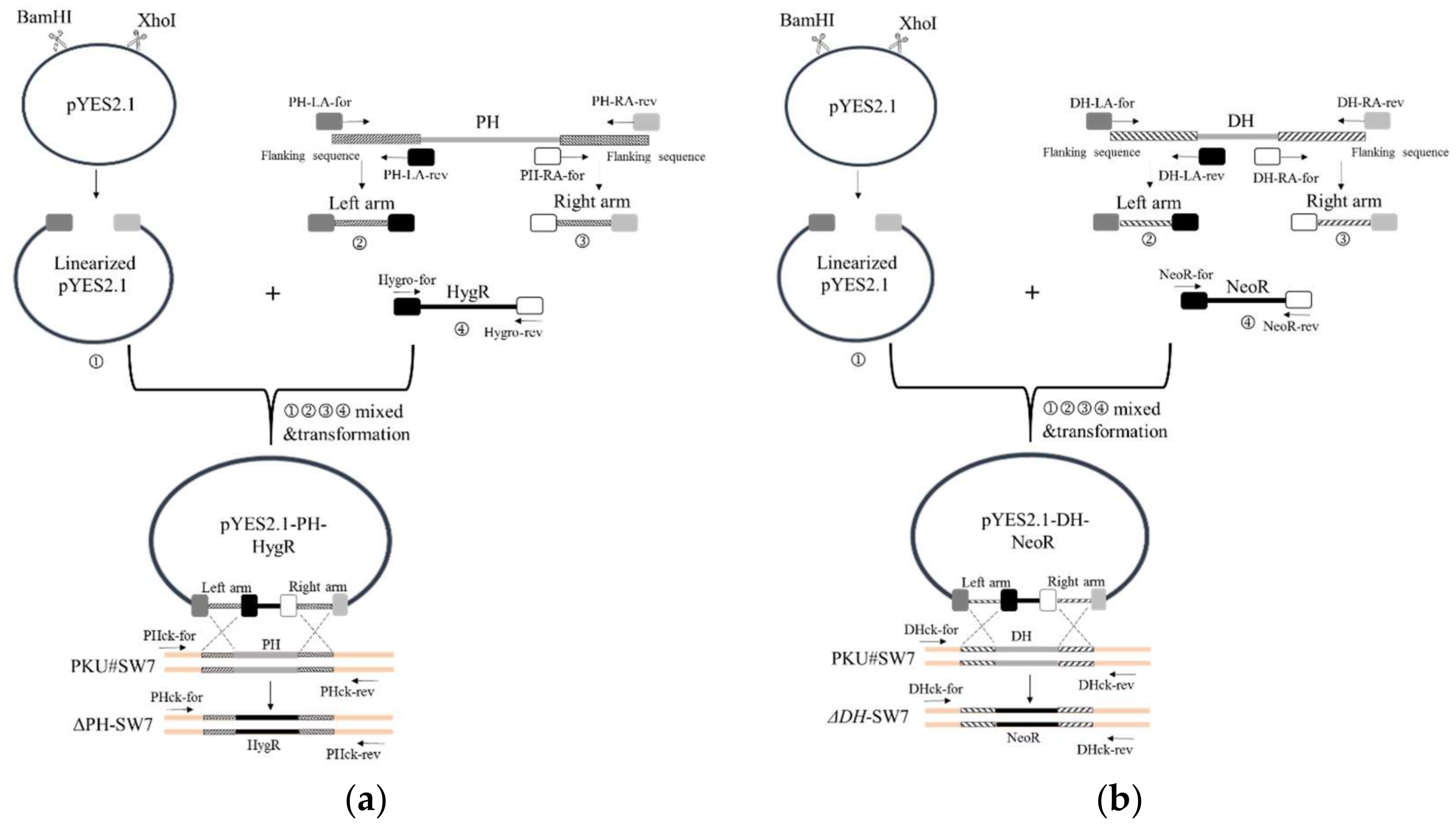 Marinedrugs 16 00310 g008