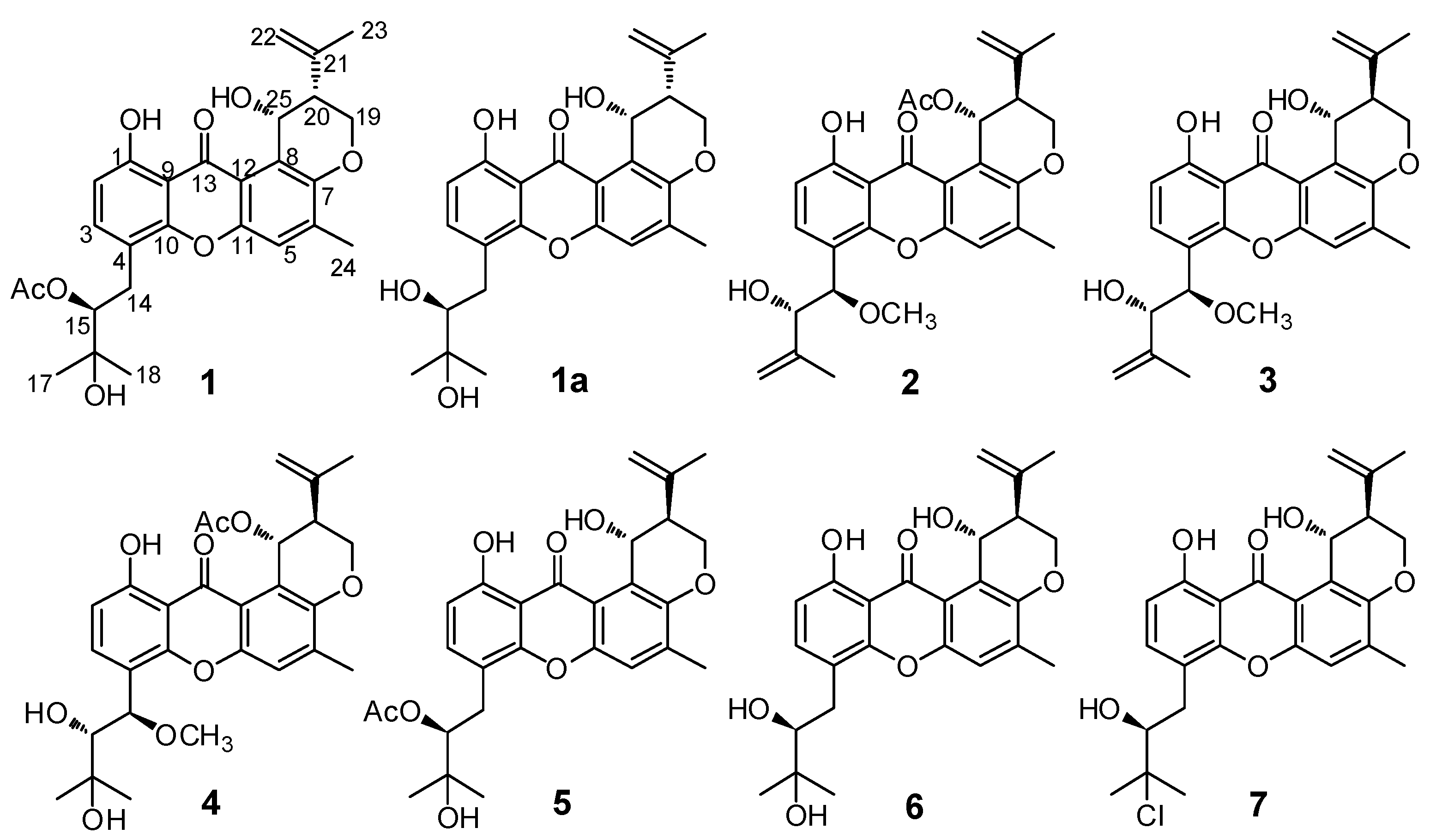 Marinedrugs 16 00312 g001