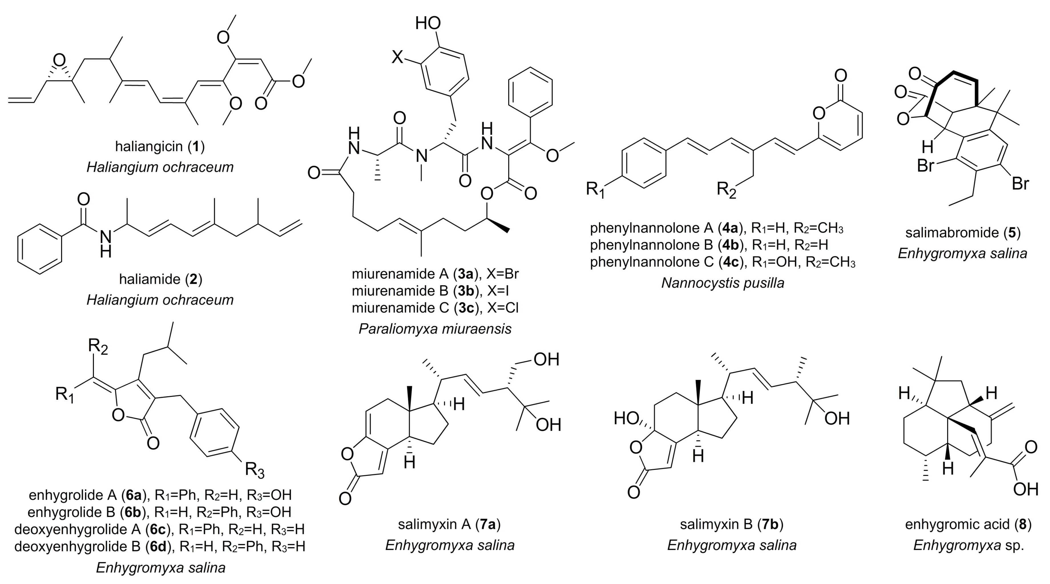 Marinedrugs 16 00314 g001