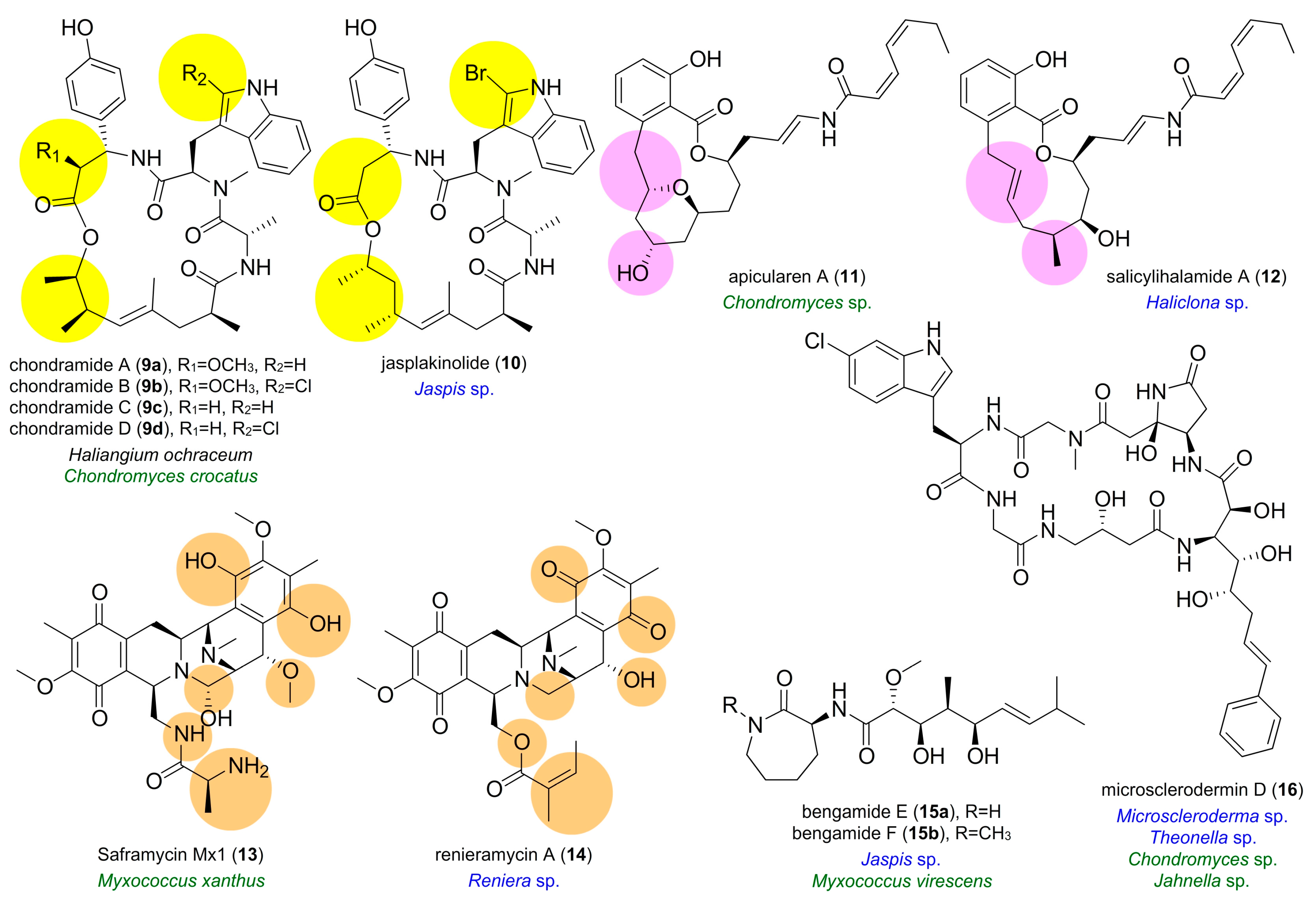 Marinedrugs 16 00314 g002